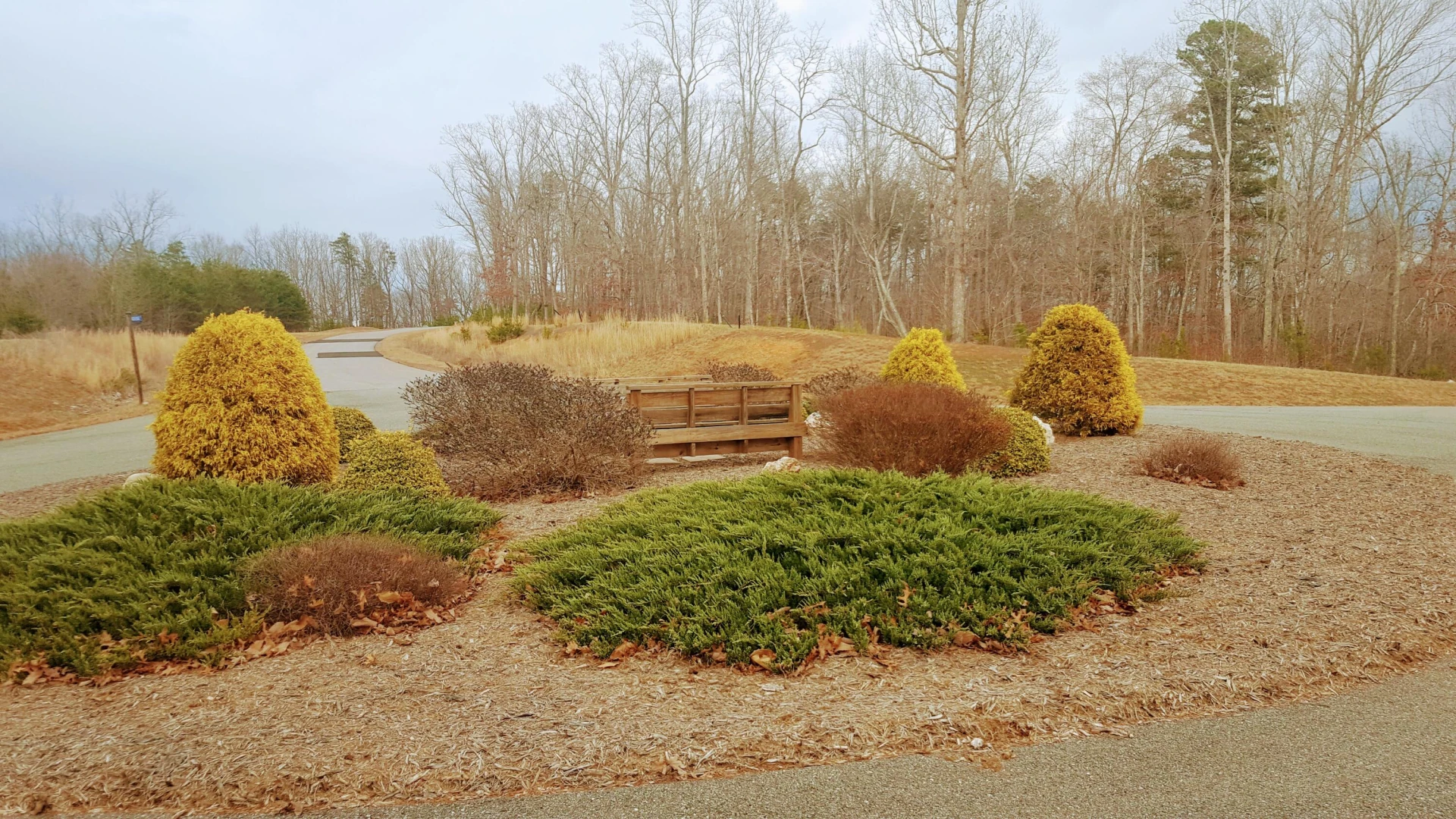 117 Greenberry DR - Photo 9