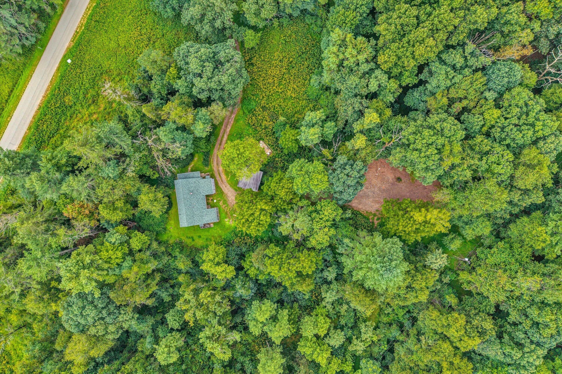 1512 Blue Ridge PKWY - Photo 8