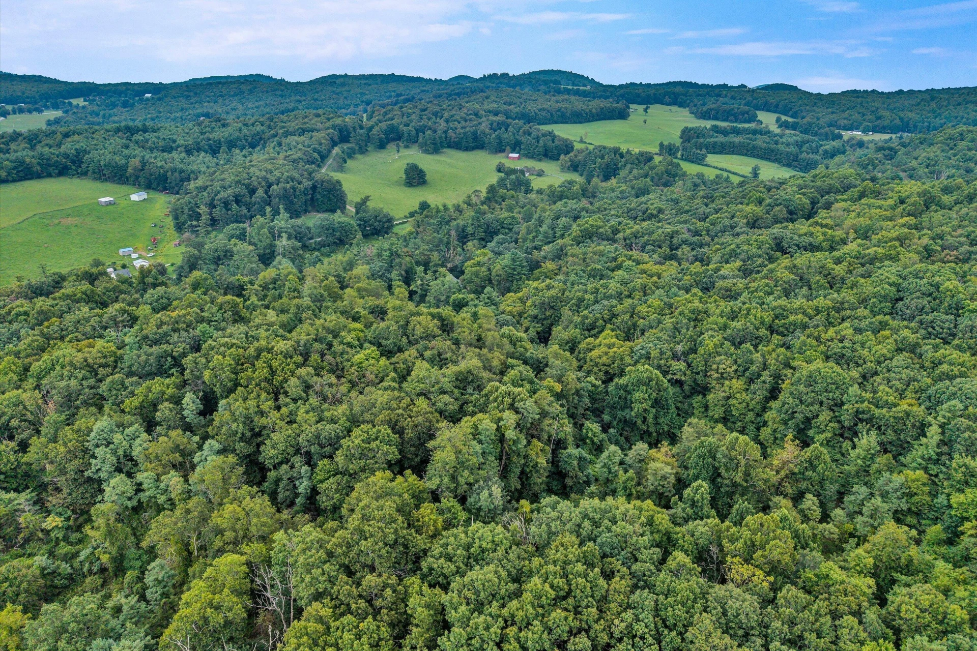 1512 Blue Ridge PKWY - Photo 12