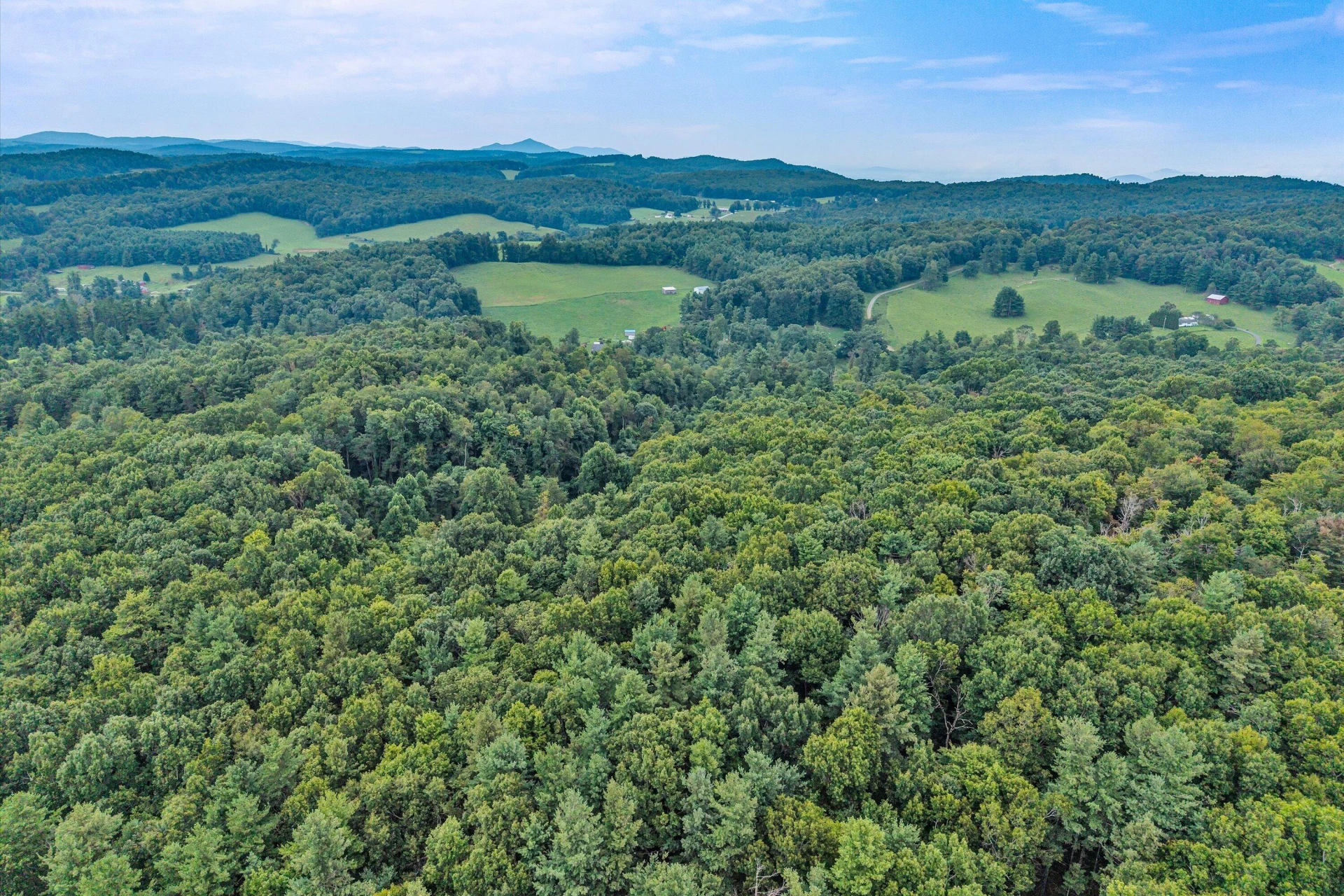 1512 Blue Ridge PKWY - Photo 13