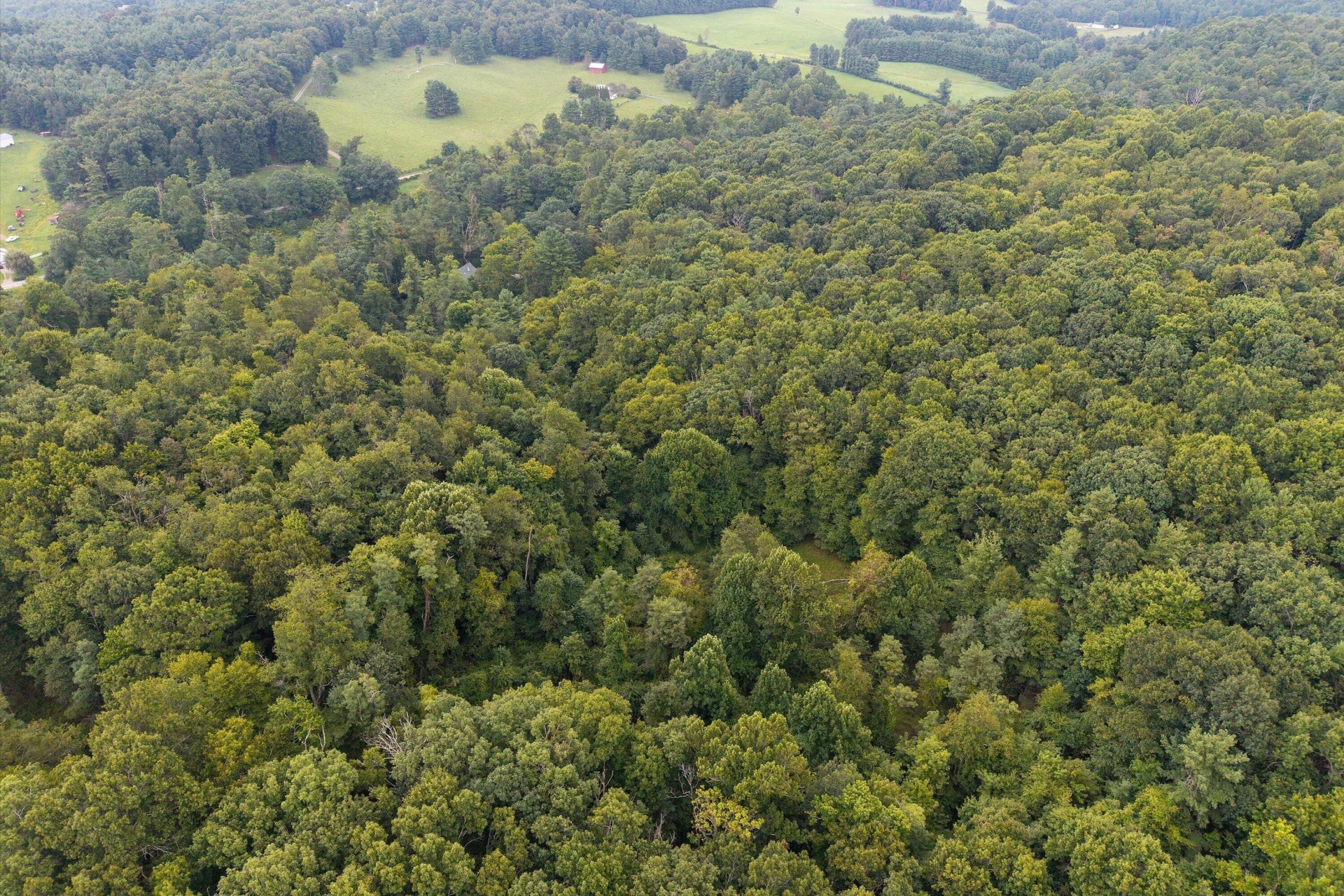 1512 Blue Ridge PKWY - Photo 14