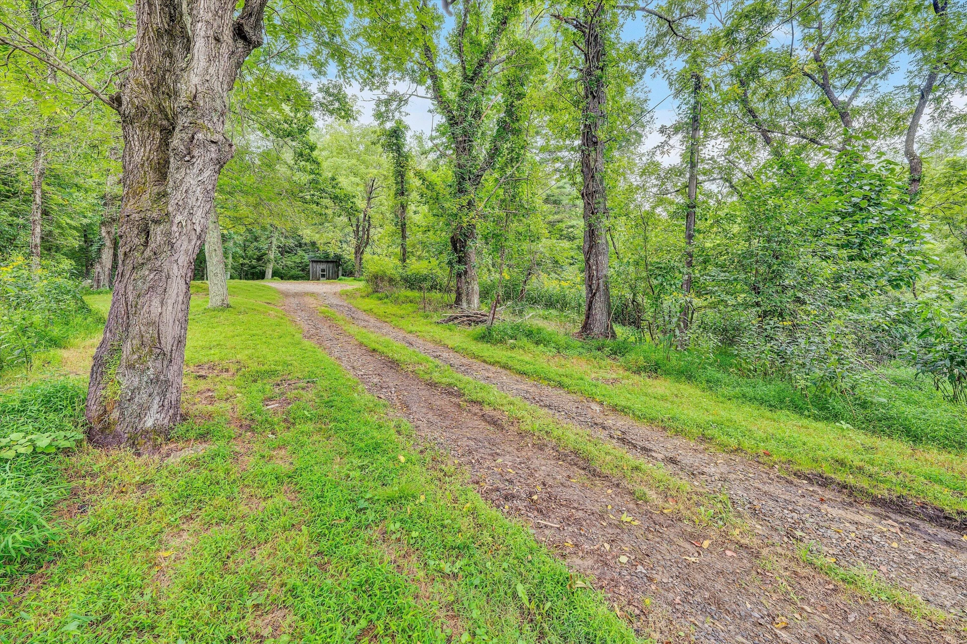 1512 Blue Ridge PKWY - Photo 47
