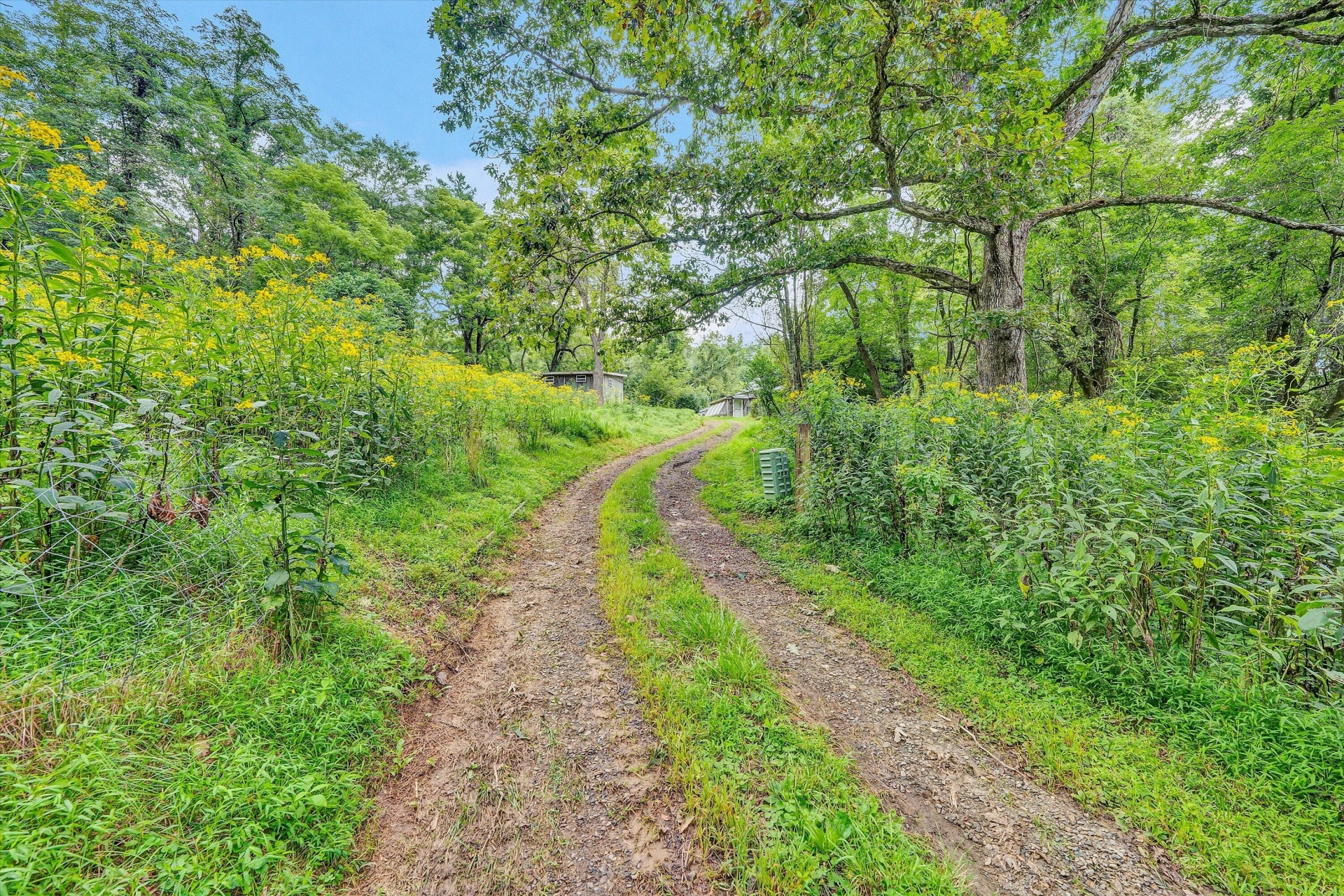 1512 Blue Ridge PKWY - Photo 51