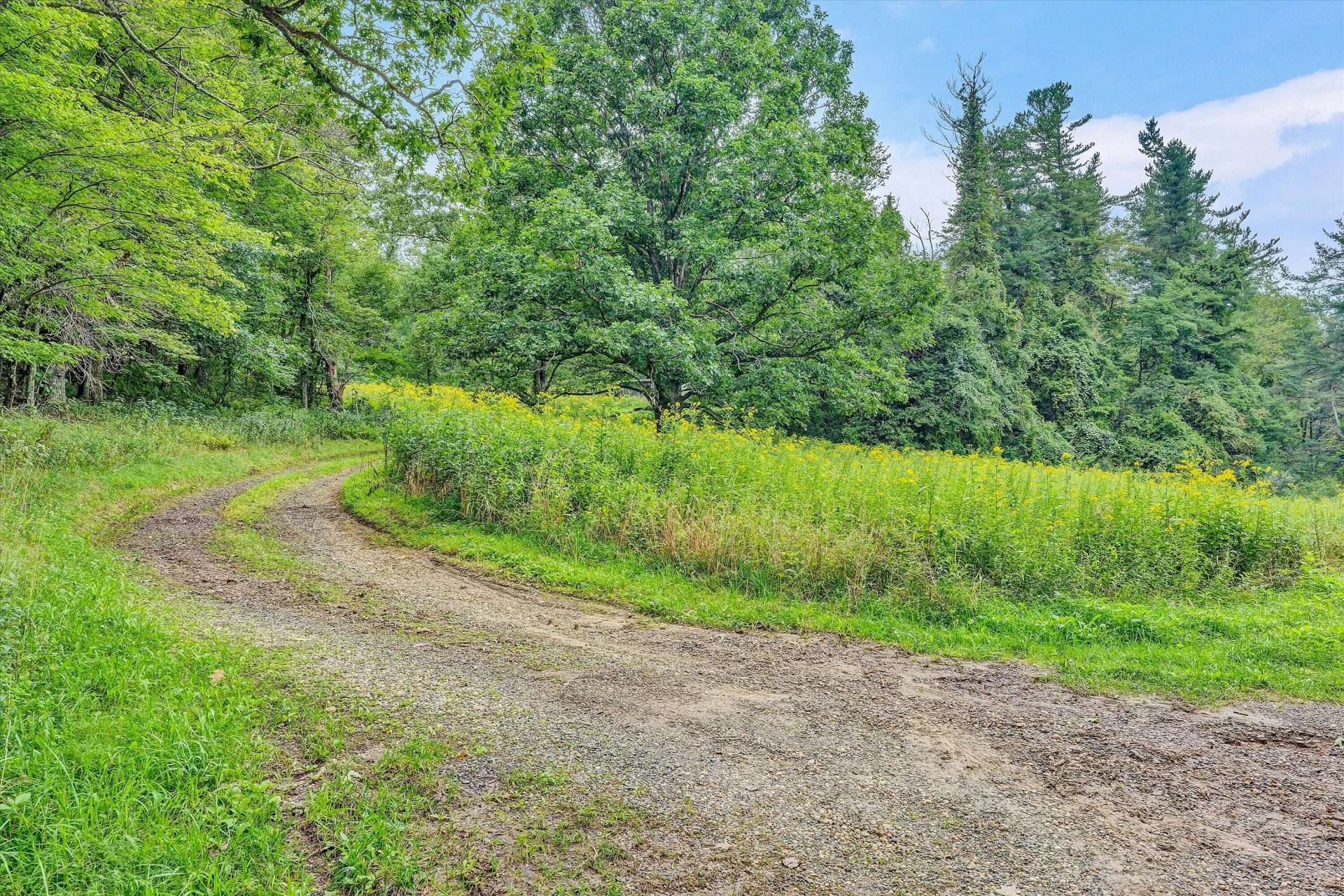 1512 Blue Ridge PKWY - Photo 52