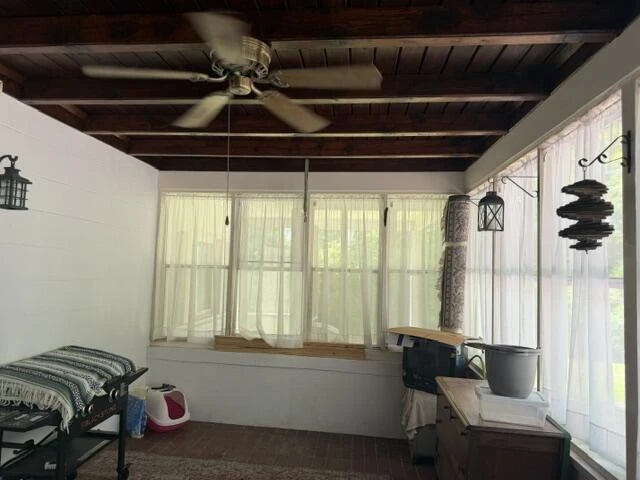 1207 Elsom ST - Photo 16