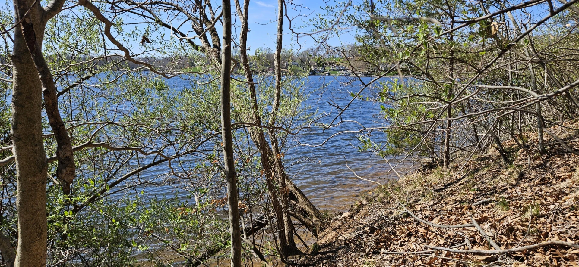 Lot 5 Longview Estates DR - Photo 3