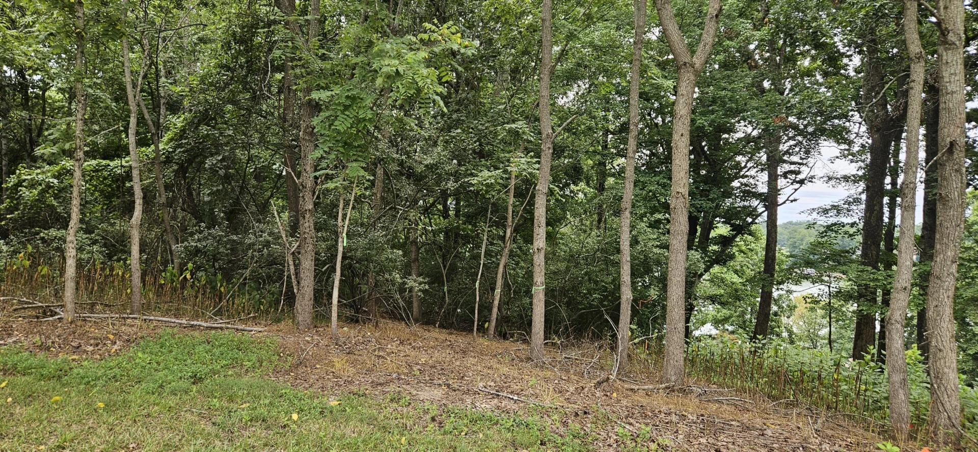 Lot 5 Longview Estates DR - Photo 8
