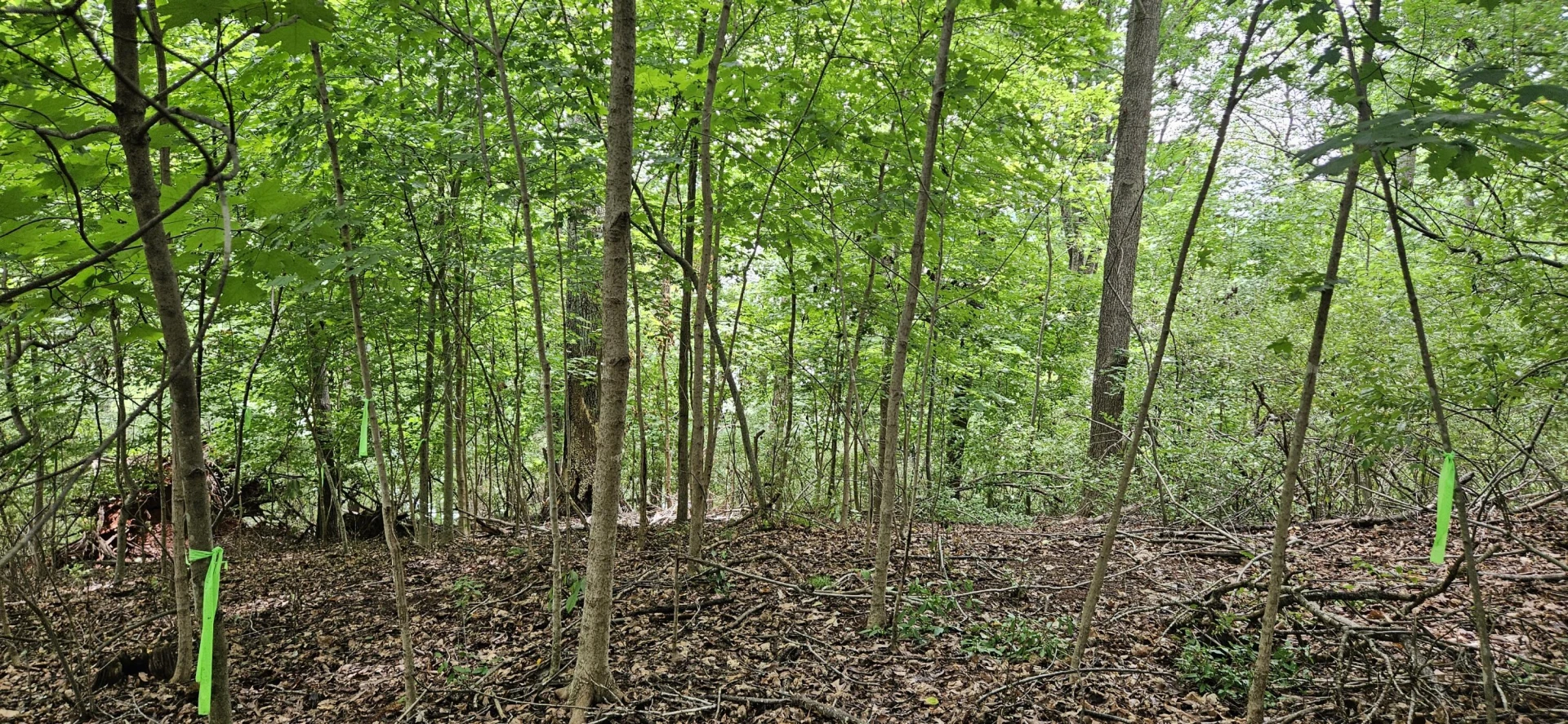 Lot 5 Longview Estates DR - Photo 10
