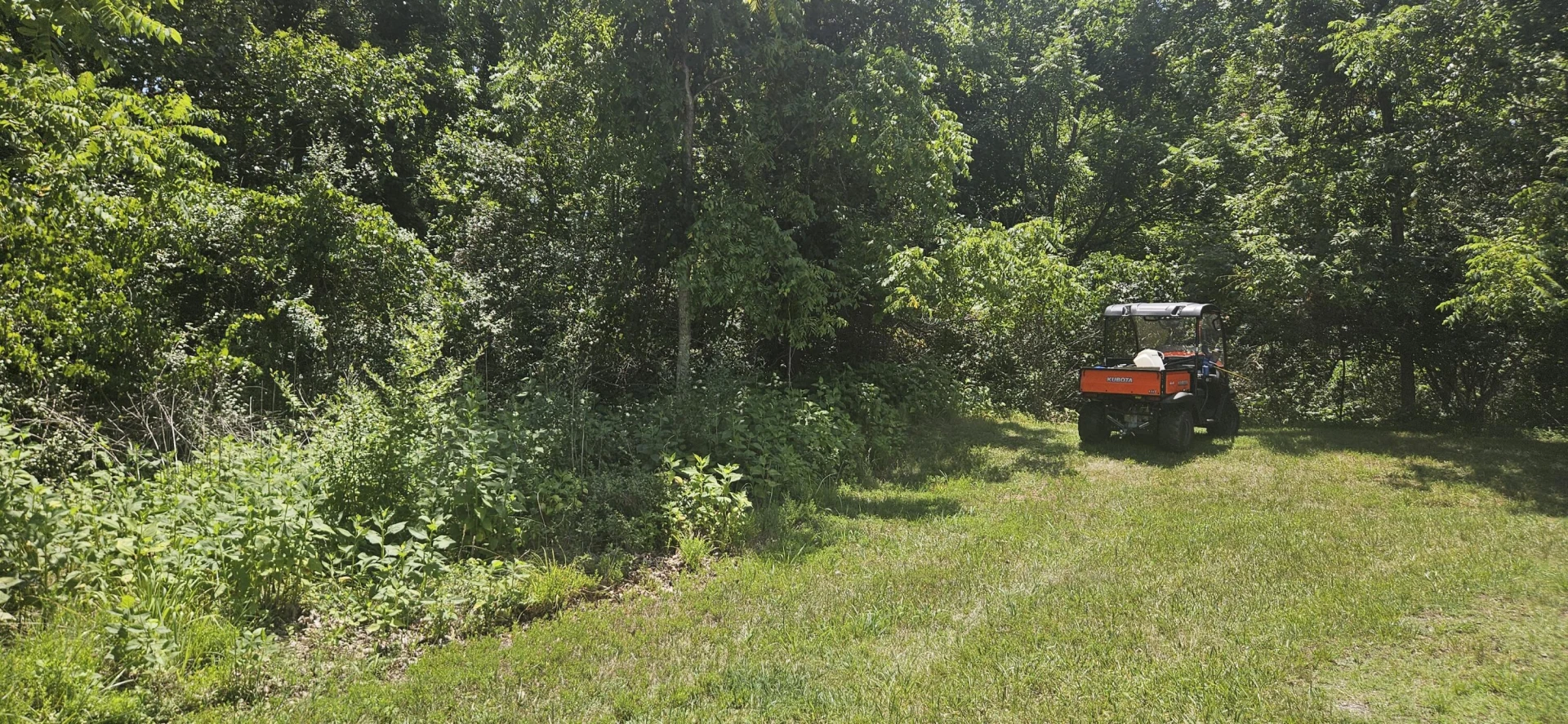 Lot 4 Longview Estates DR - Photo 4