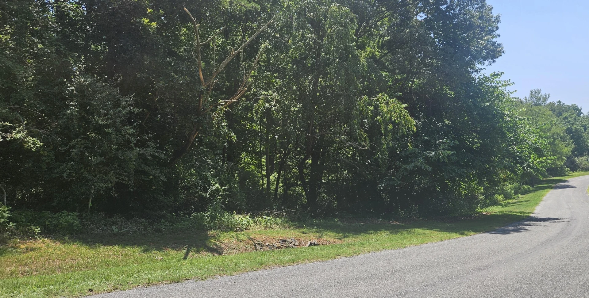 Lot 2 & 3 Longview Estates DR - Photo 2