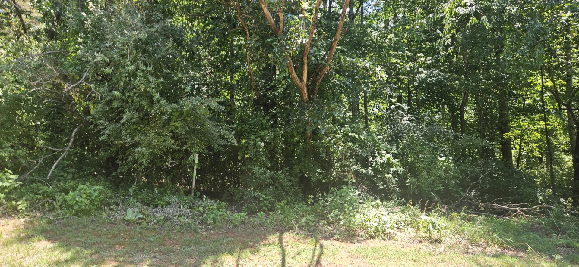 Lot 2 & 3 Longview Estates DR - Photo 3