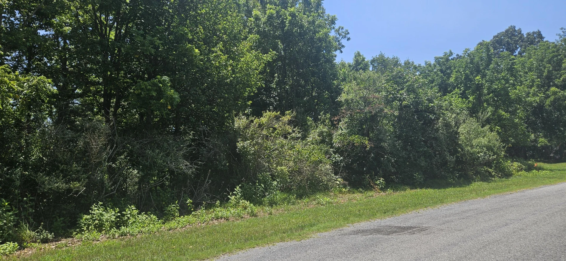 Lot 2 & 3 Longview Estates DR - Photo 5