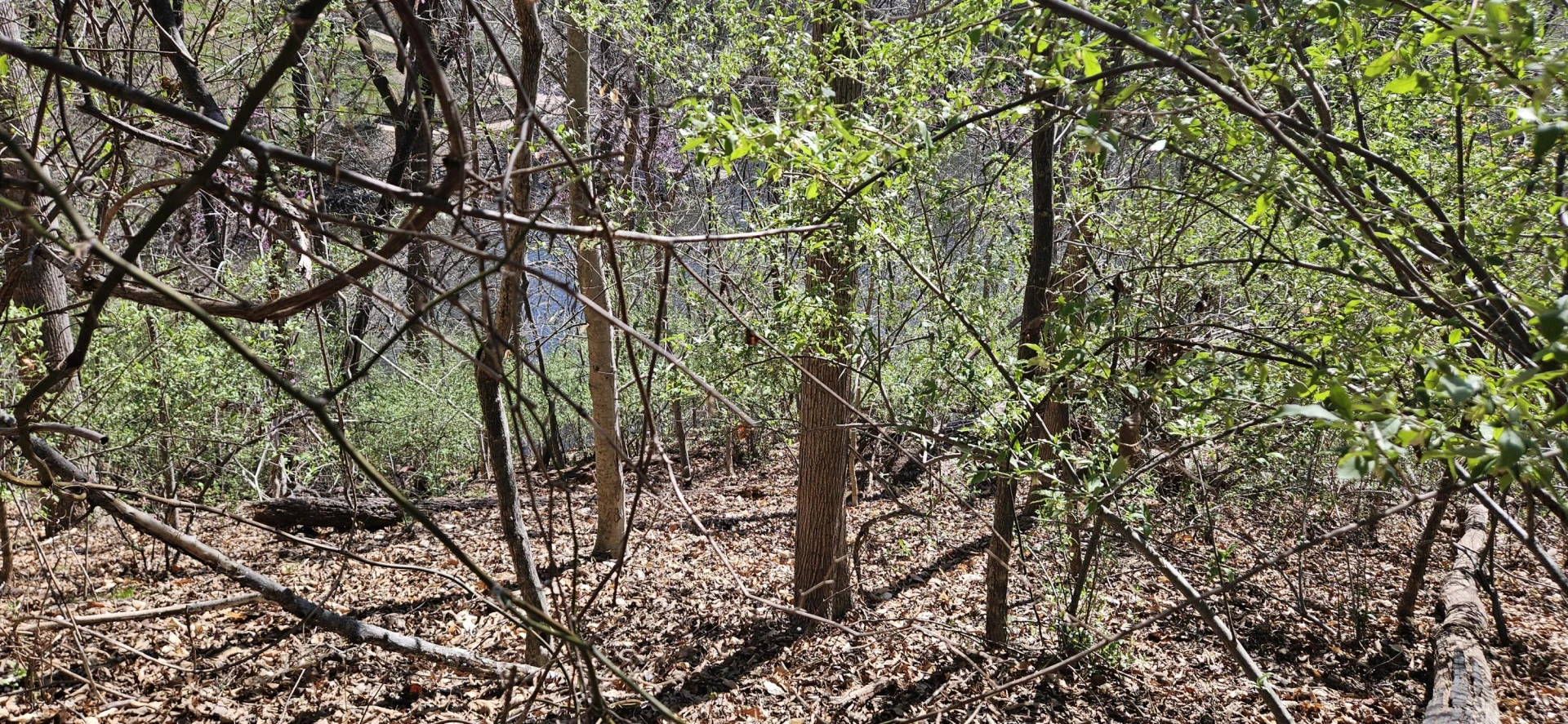 Lot 2 & 3 Longview Estates DR - Photo 10