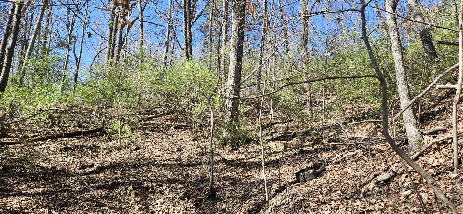 Lot 2 & 3 Longview Estates DR - Photo 12