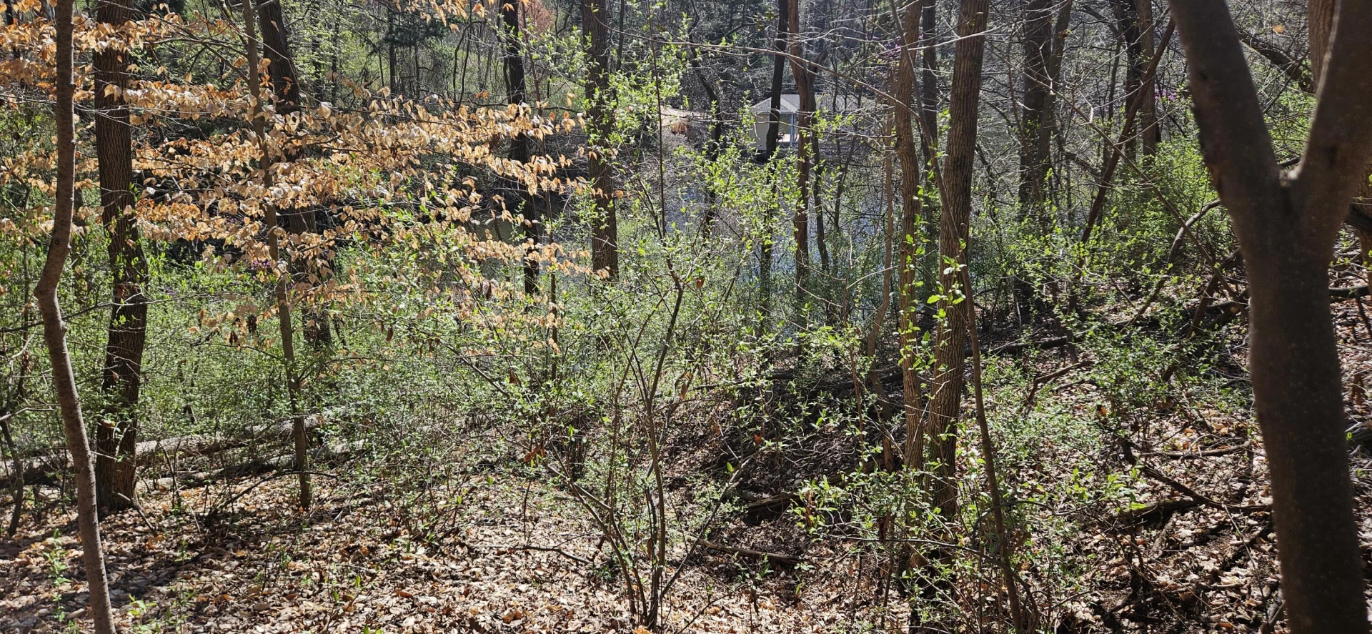 Lot 2 & 3 Longview Estates DR - Photo 13