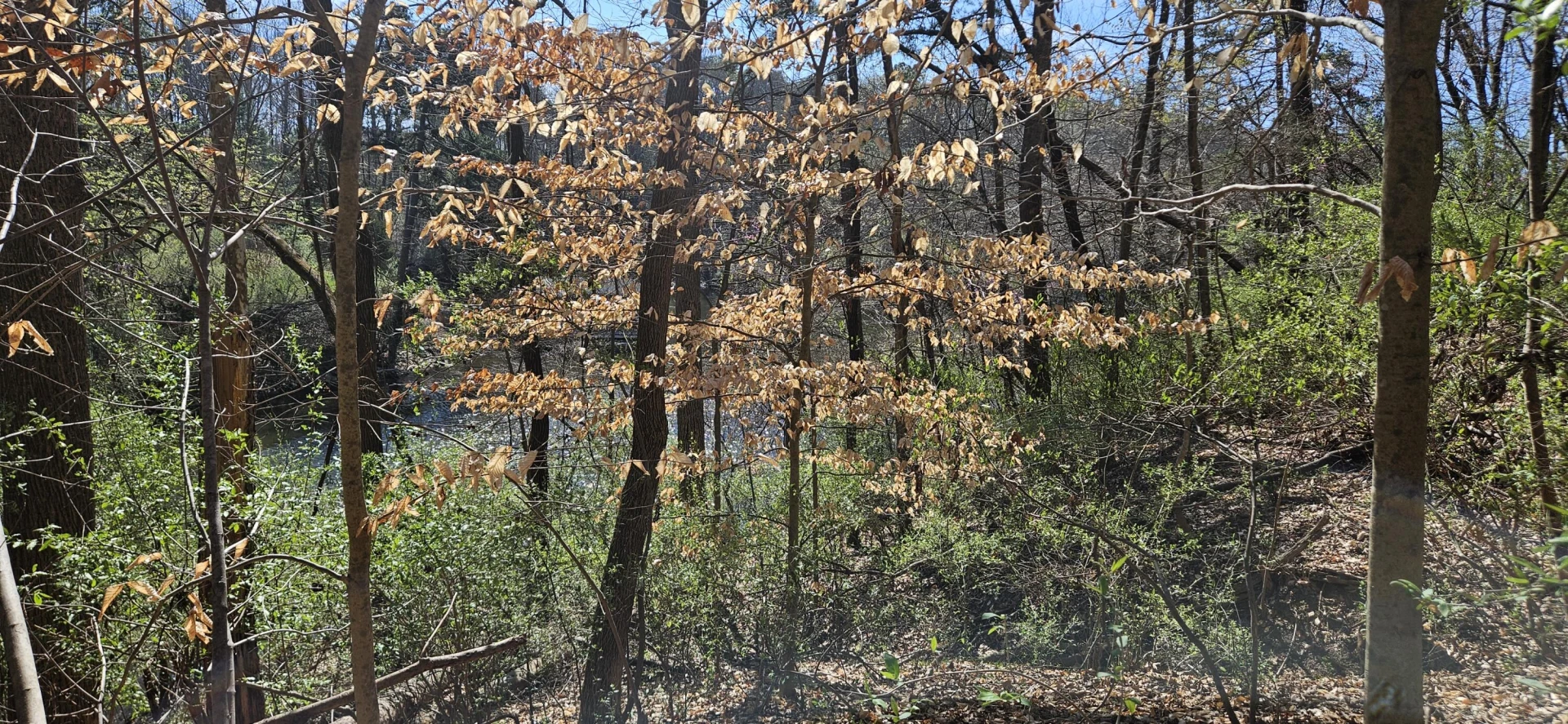 Lot 2 & 3 Longview Estates DR - Photo 15