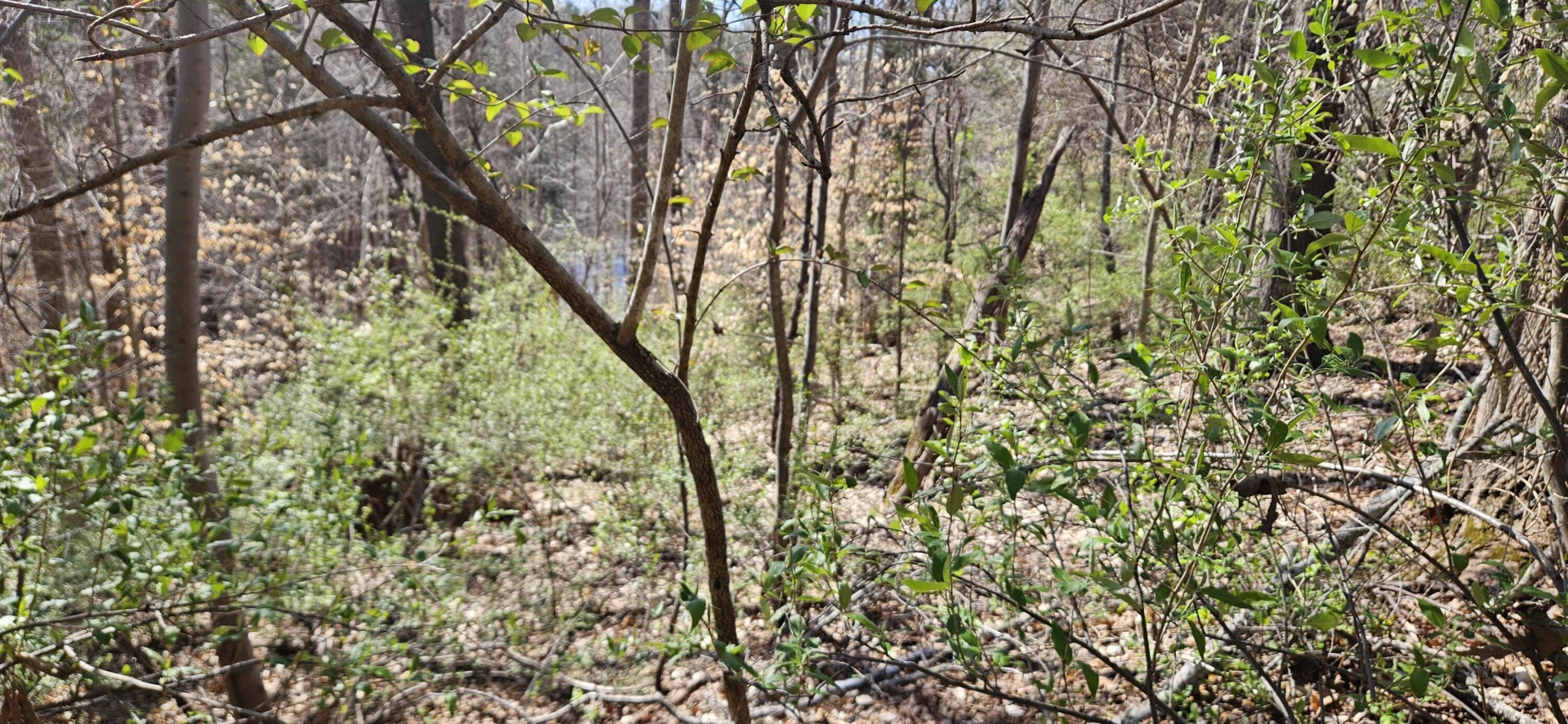 Lot 2 & 3 Longview Estates DR - Photo 22