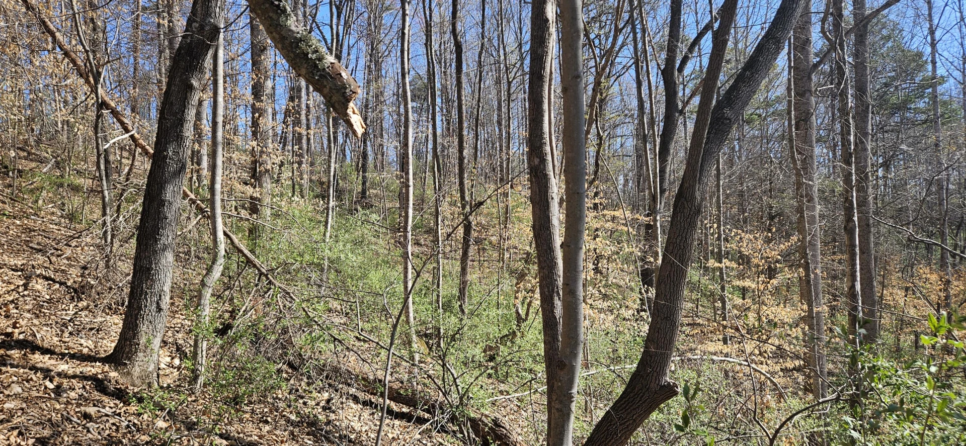 Lot 2 & 3 Longview Estates DR - Photo 24