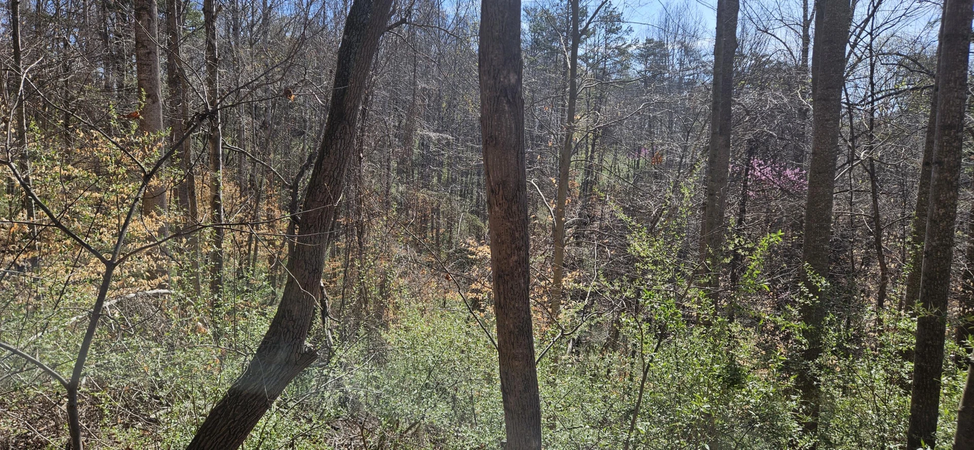 Lot 2 & 3 Longview Estates DR - Photo 25