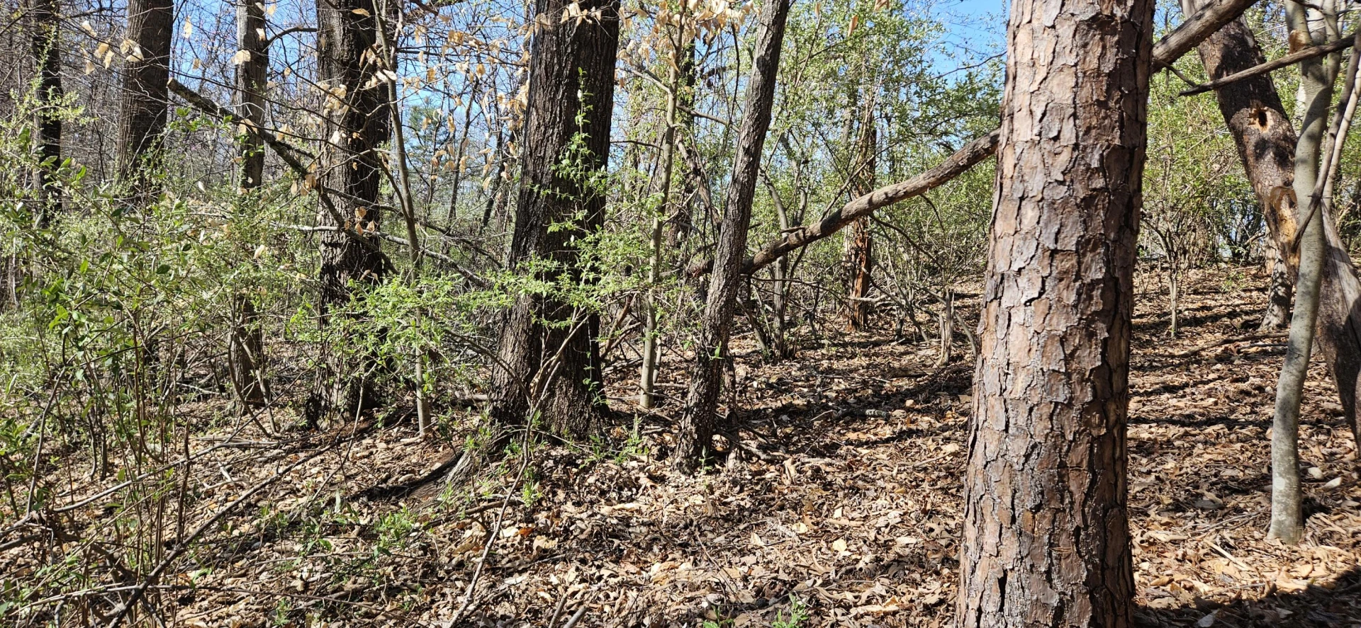 Lot 2 & 3 Longview Estates DR - Photo 26