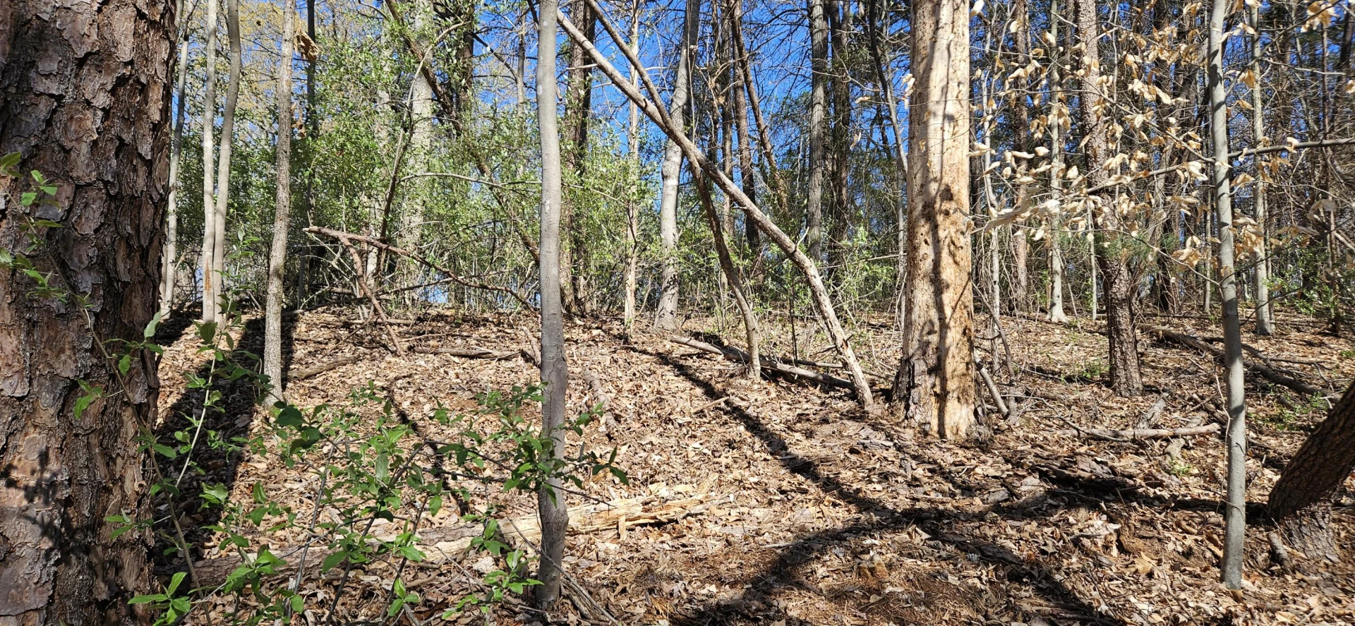 Lot 2 & 3 Longview Estates DR - Photo 27