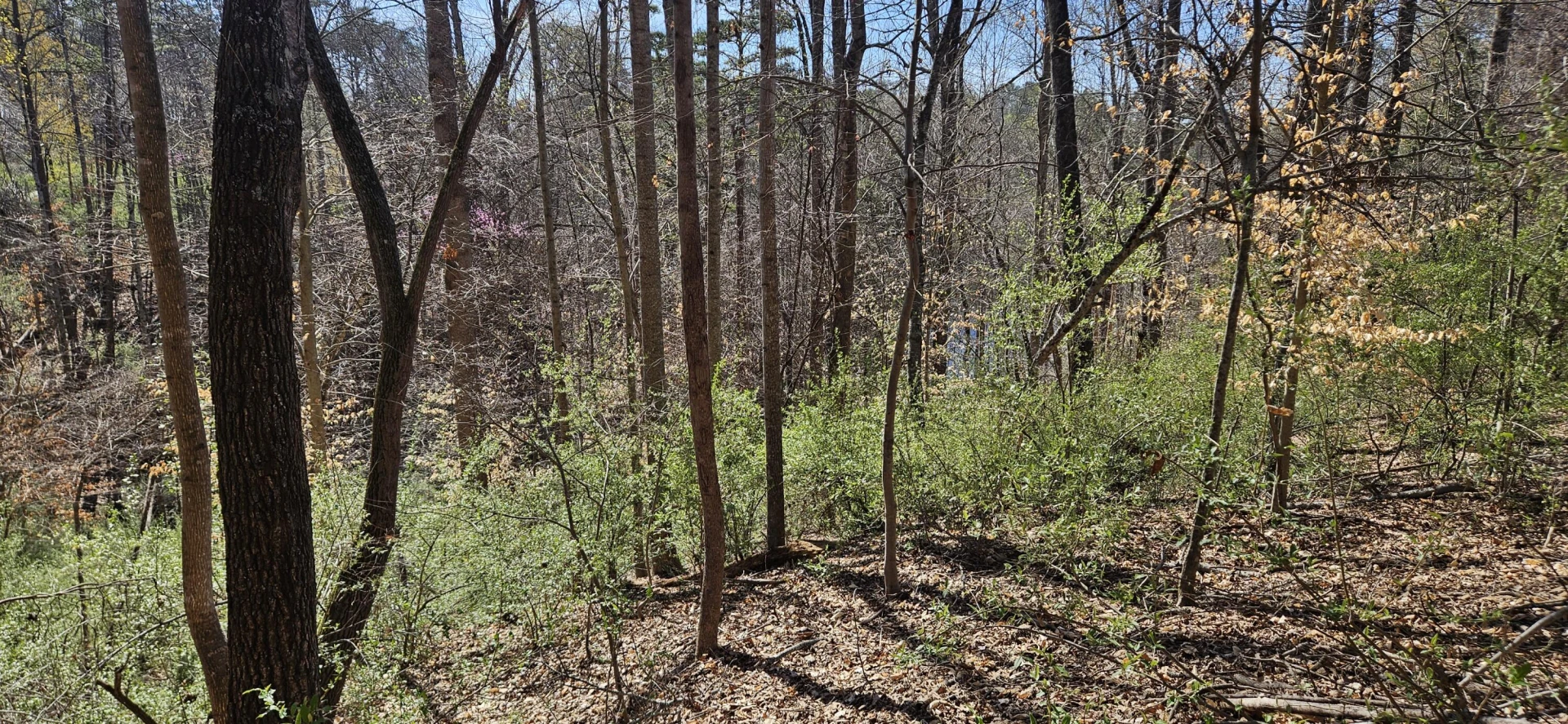 Lot 2 & 3 Longview Estates DR - Photo 28