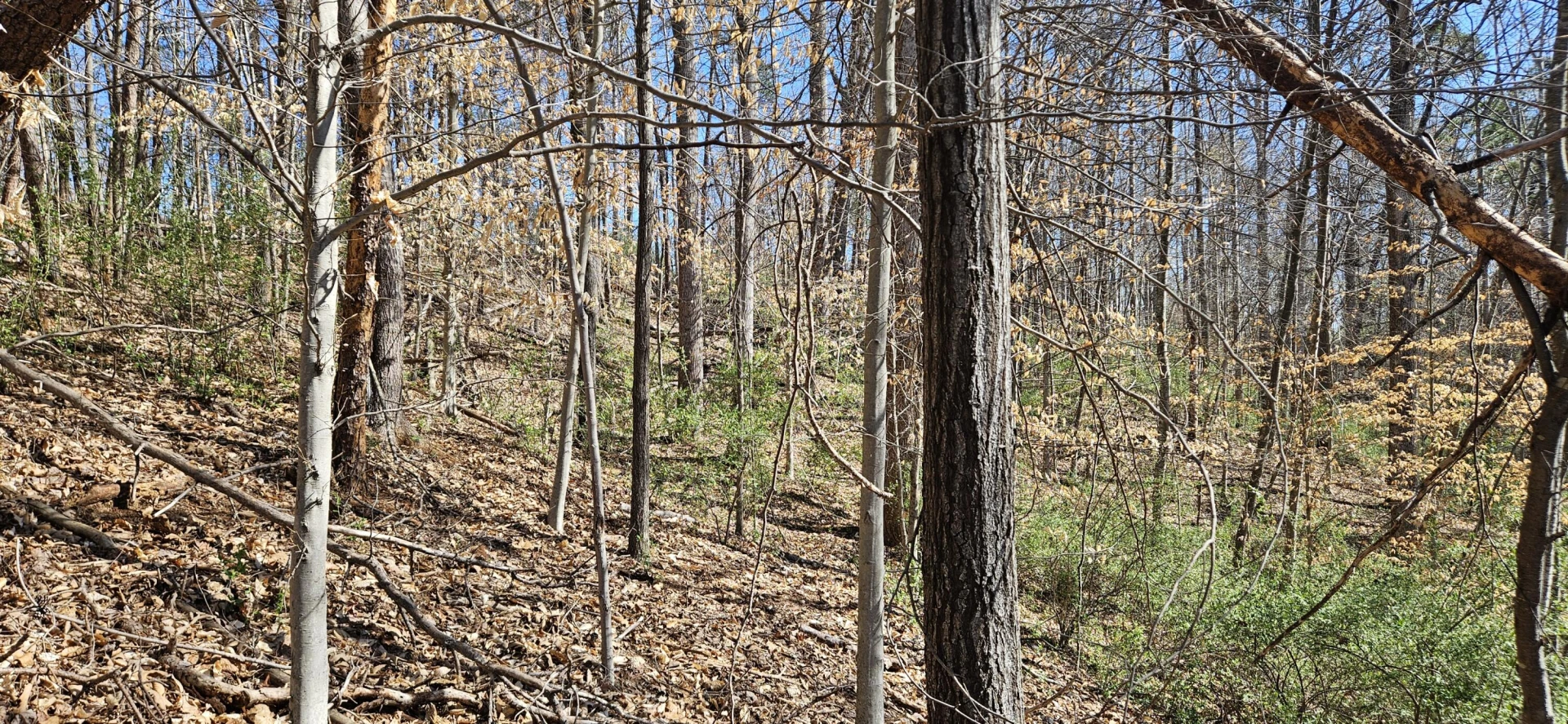 Lot 2 & 3 Longview Estates DR - Photo 29