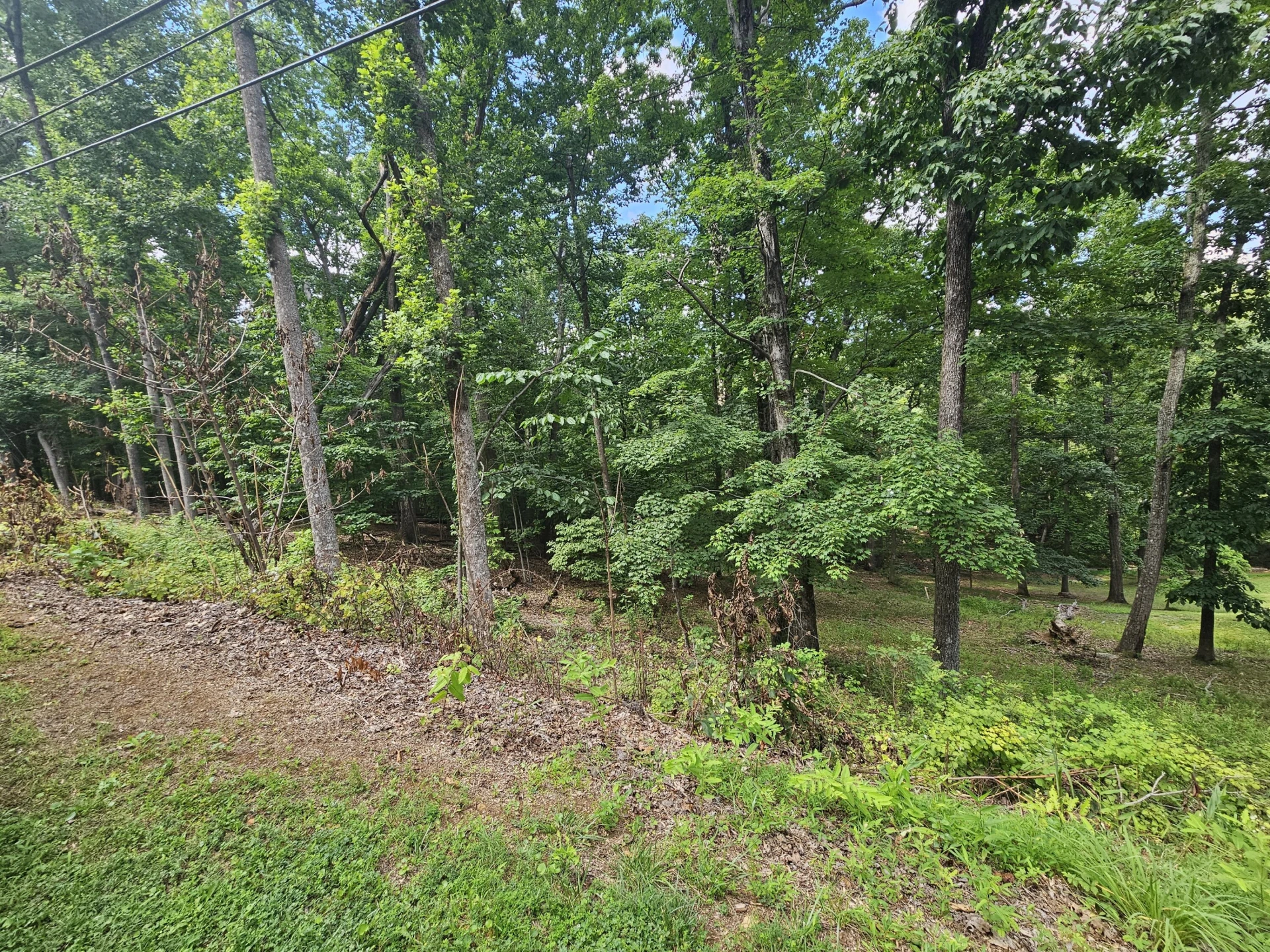 0 Pin Oak DR - Photo 3