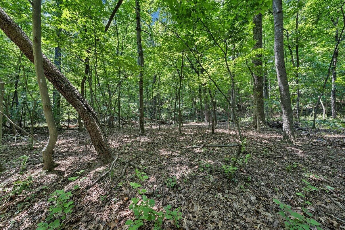 0 Pin Oak DR - Photo 4