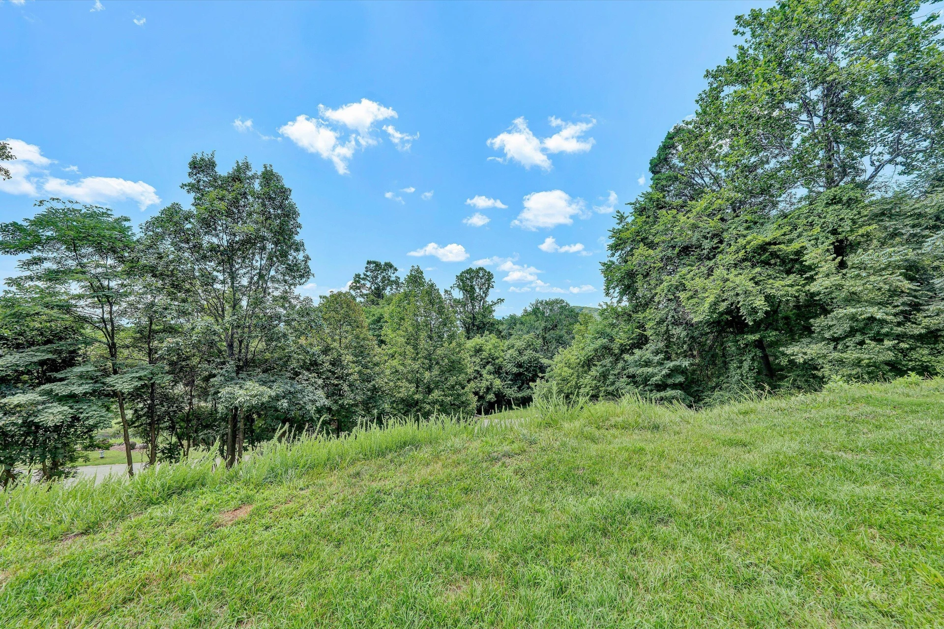 4452 Toddsbury DR - Photo 34