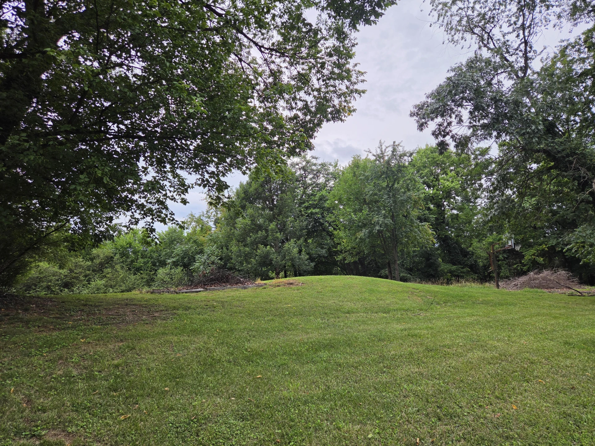 1902 Springfield AVE - Photo 3