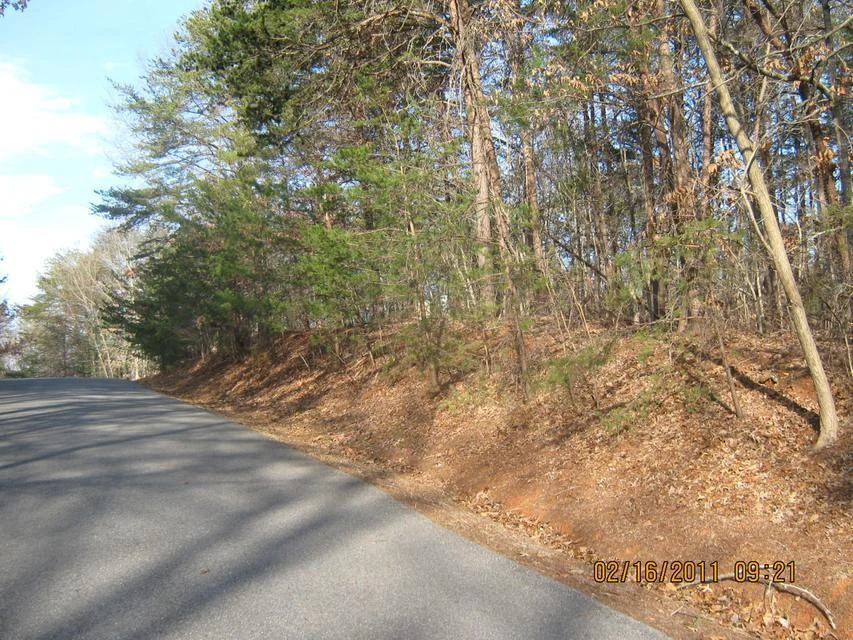 Lot 4 Mulberry Bush LN - Photo 5