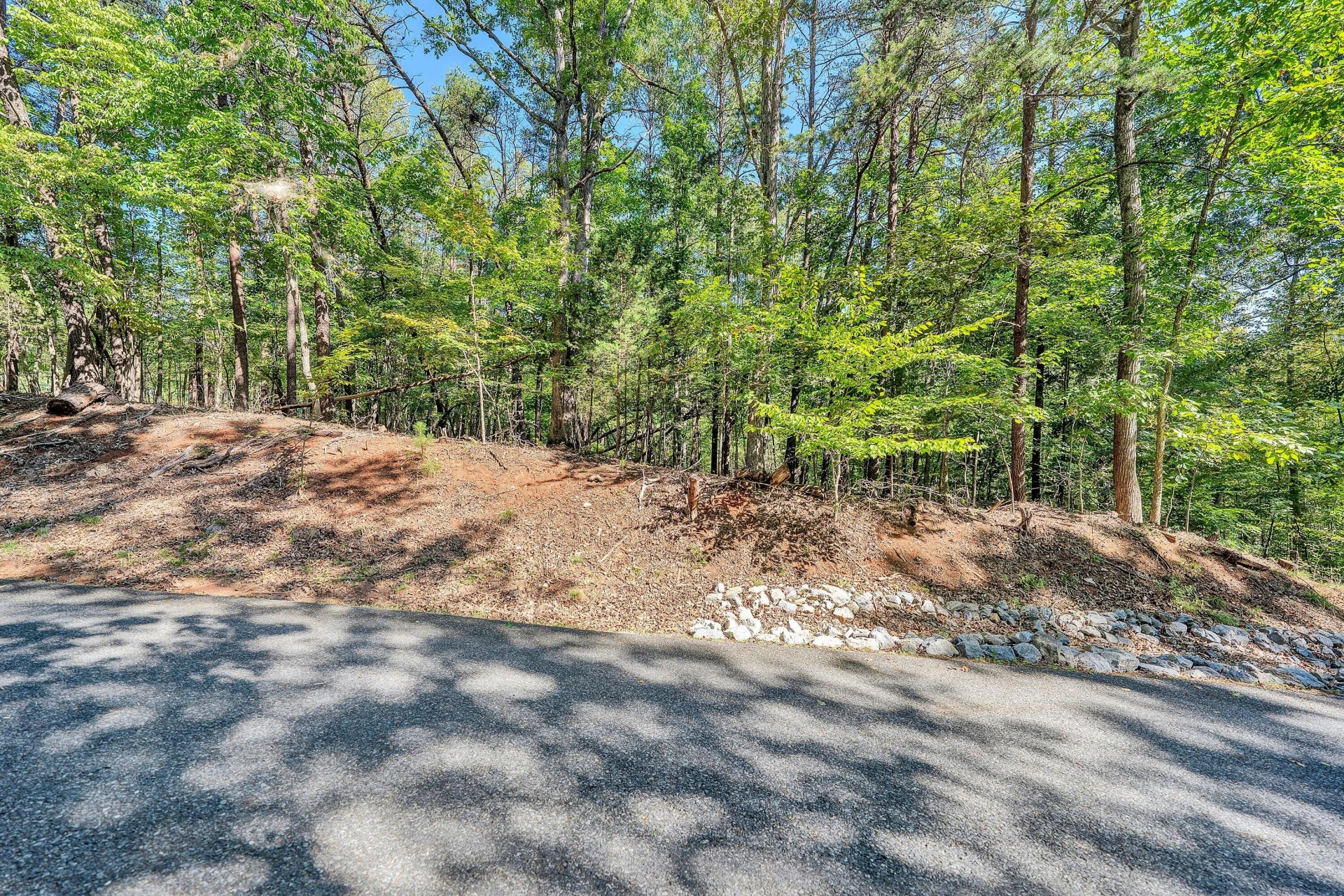 Lot 4 Mulberry Bush LN - Photo 3