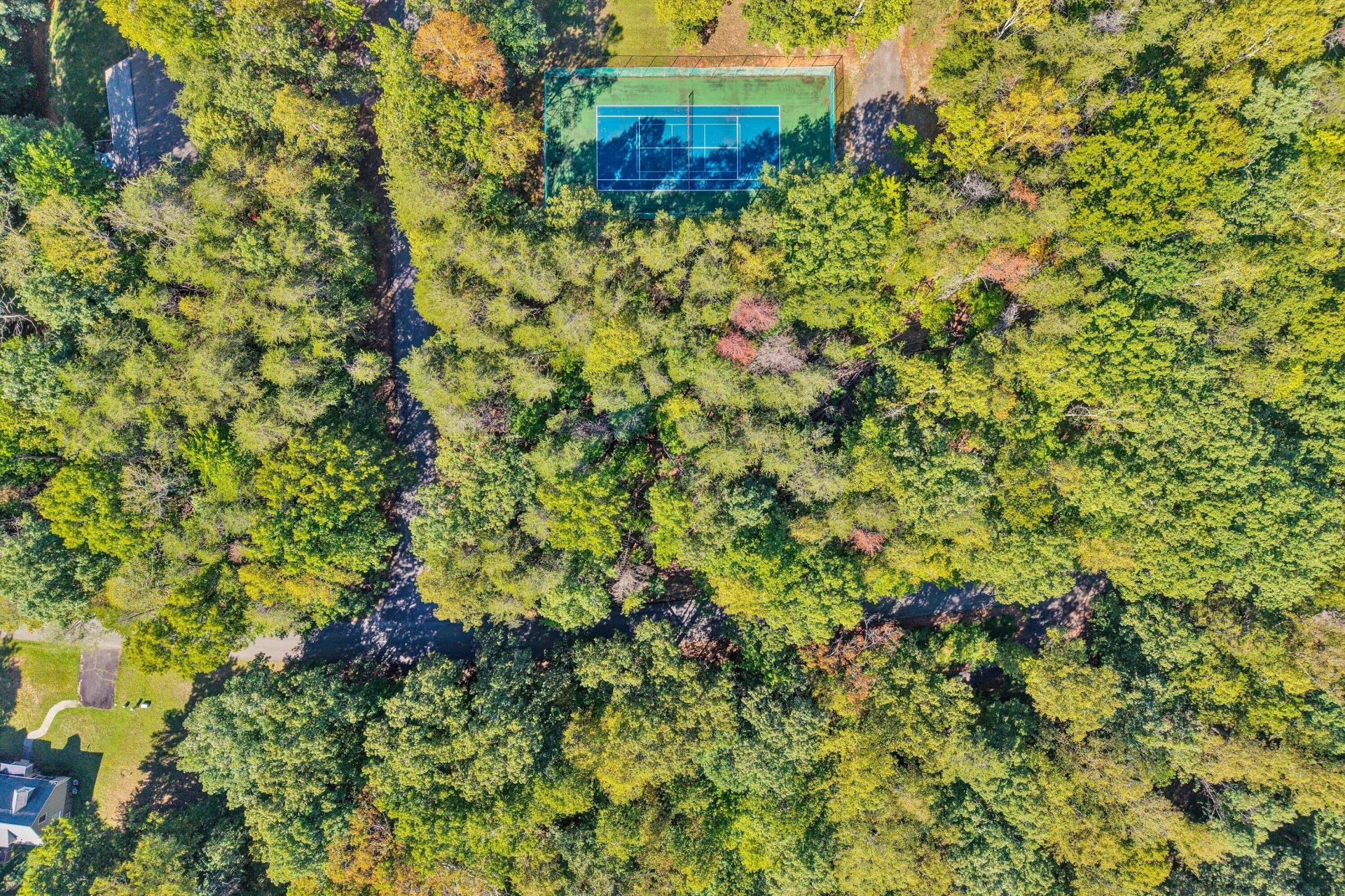 Lot 4 Mulberry Bush LN - Photo 37