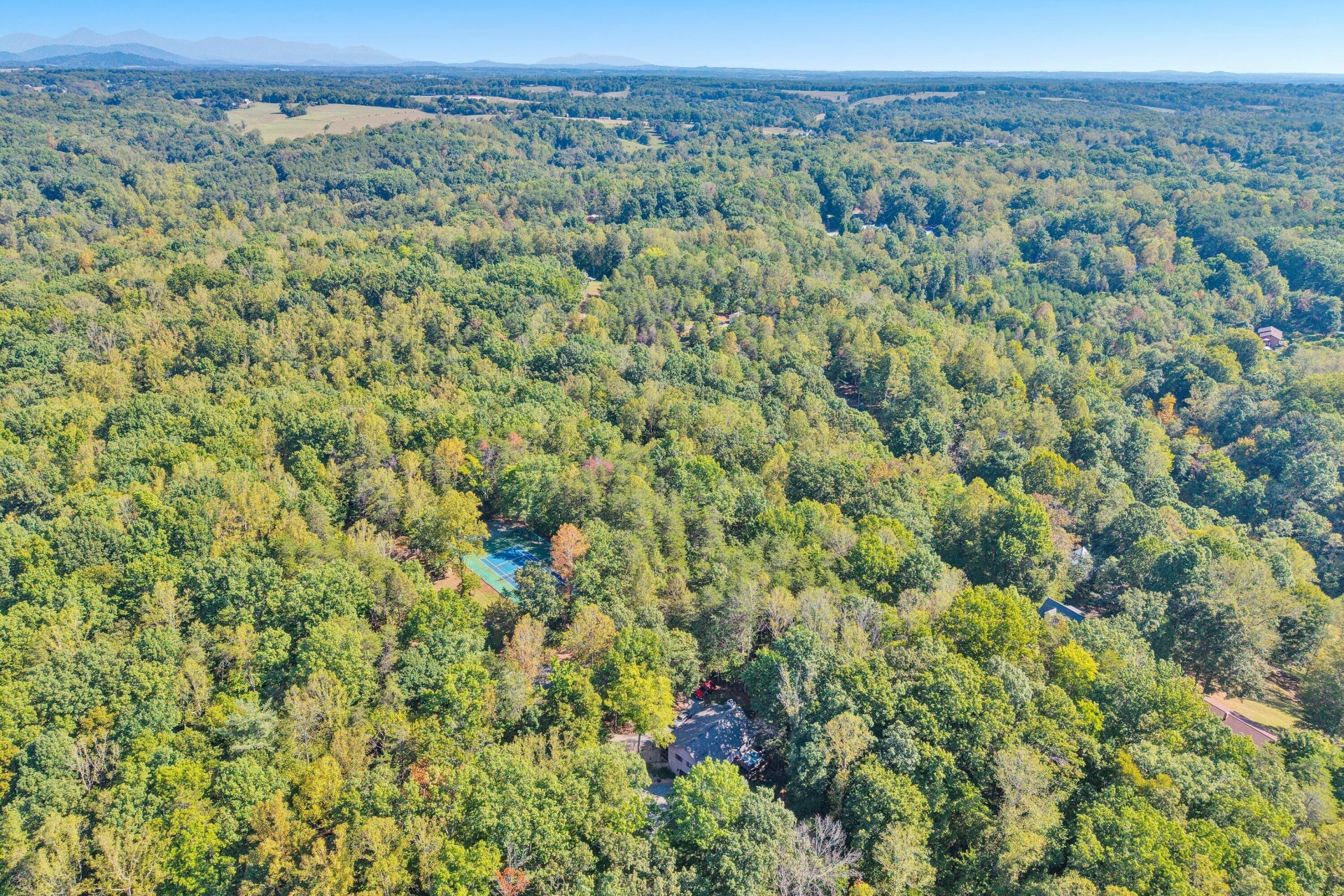 Lot 4 Mulberry Bush LN - Photo 39