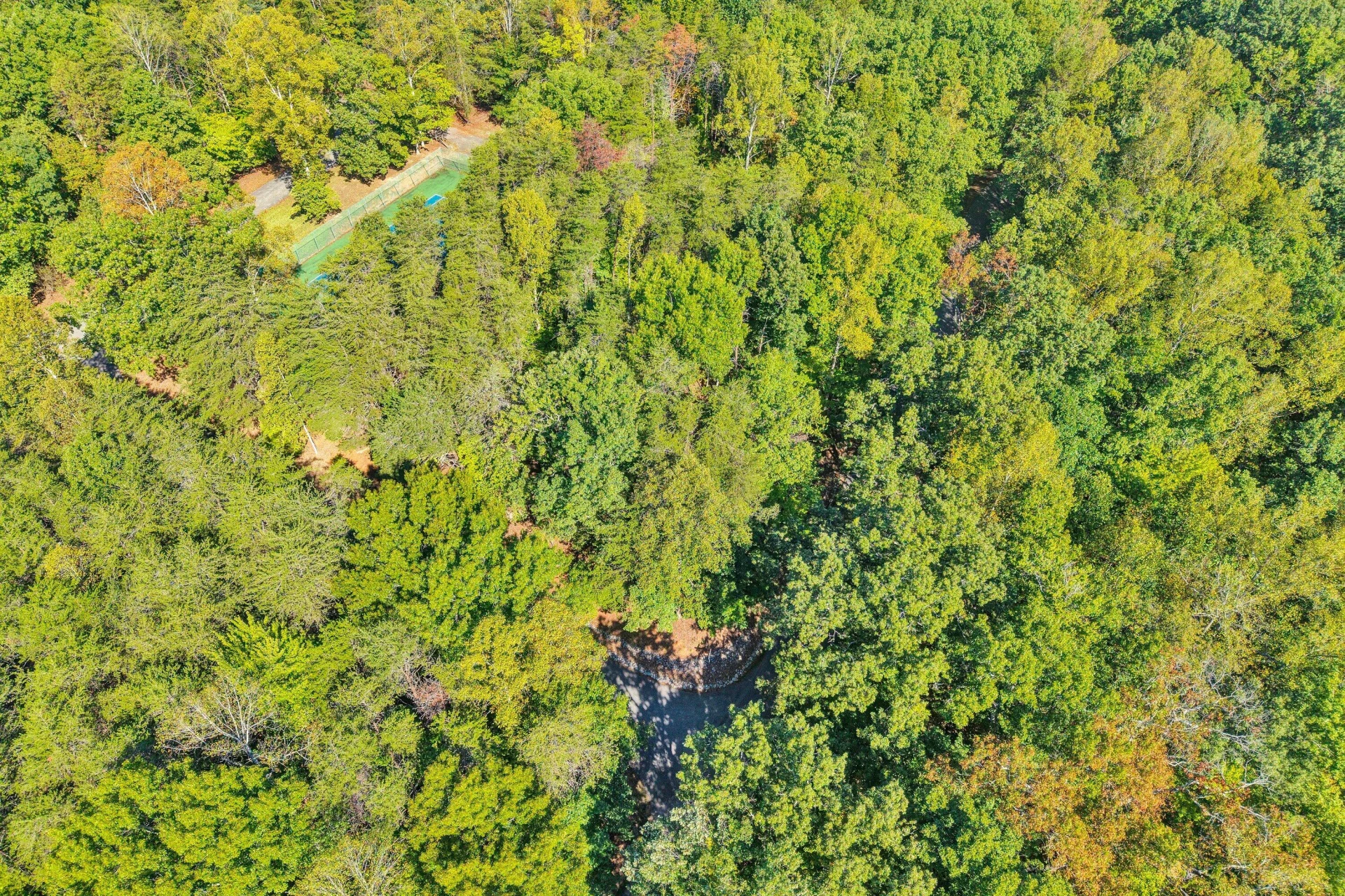 Lot 4 Mulberry Bush LN - Photo 41