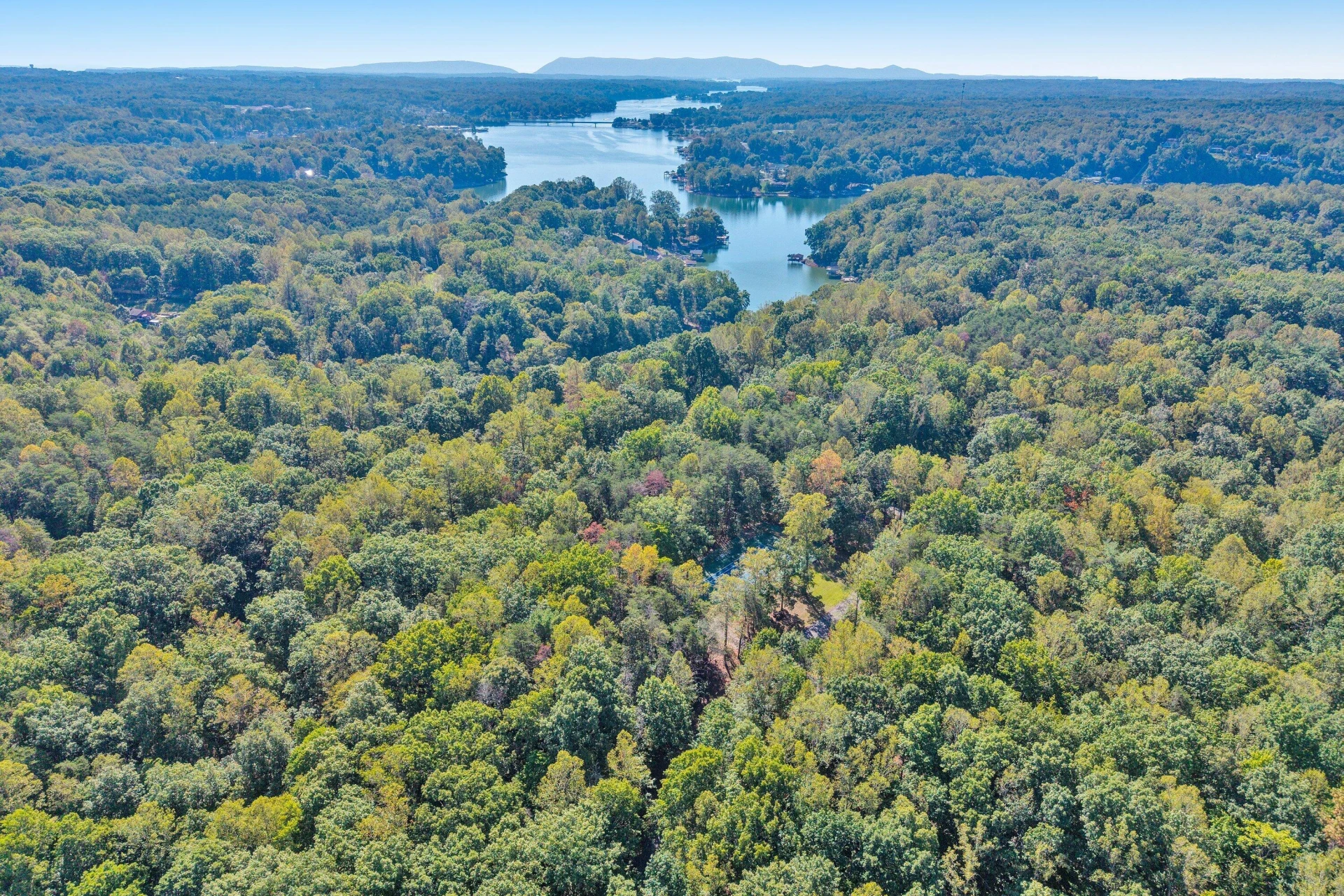 Lot 4 Mulberry Bush LN - Photo 42