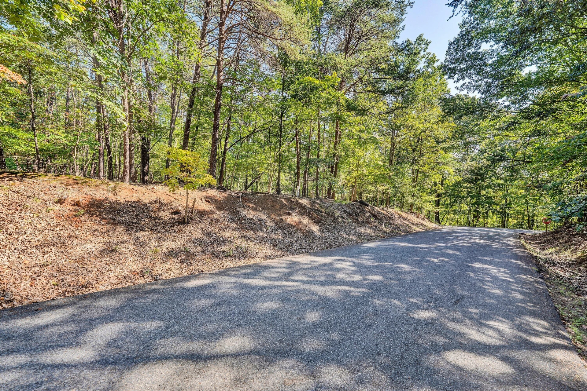 Lot 4 Mulberry Bush LN - Photo 43