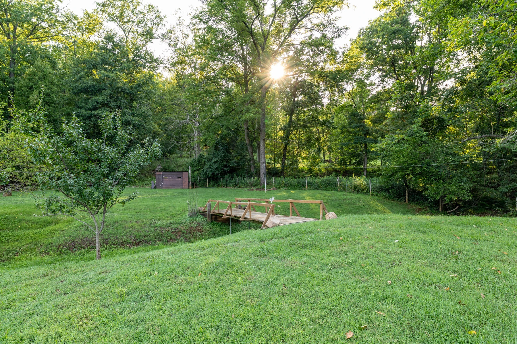 2217 Blue Ridge Springs RD - Photo 38