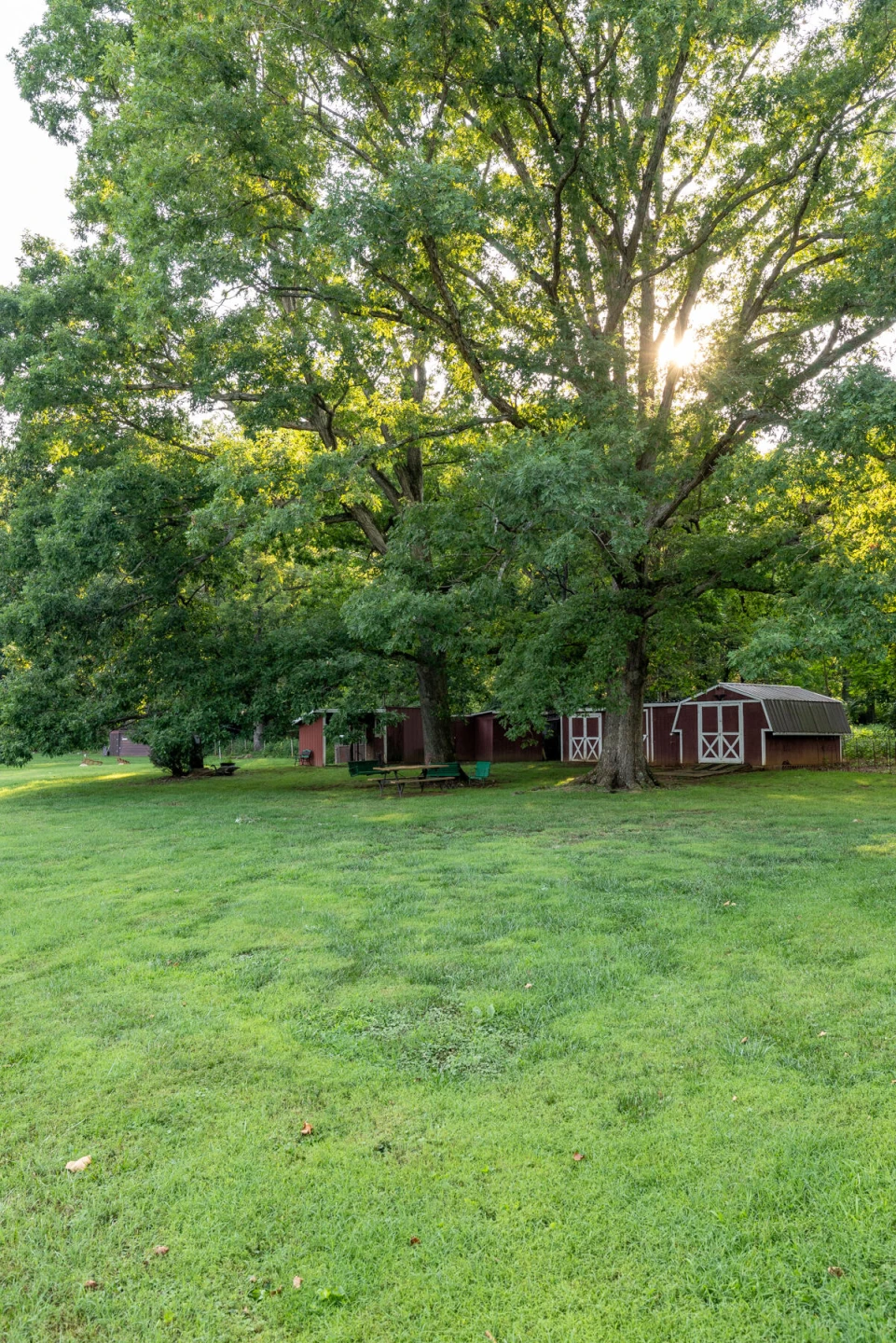 2217 Blue Ridge Springs RD - Photo 41