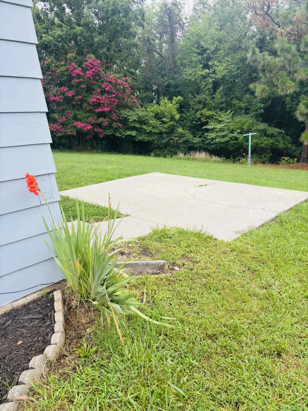 2820 Mount Pleasant BLVD - Photo 6