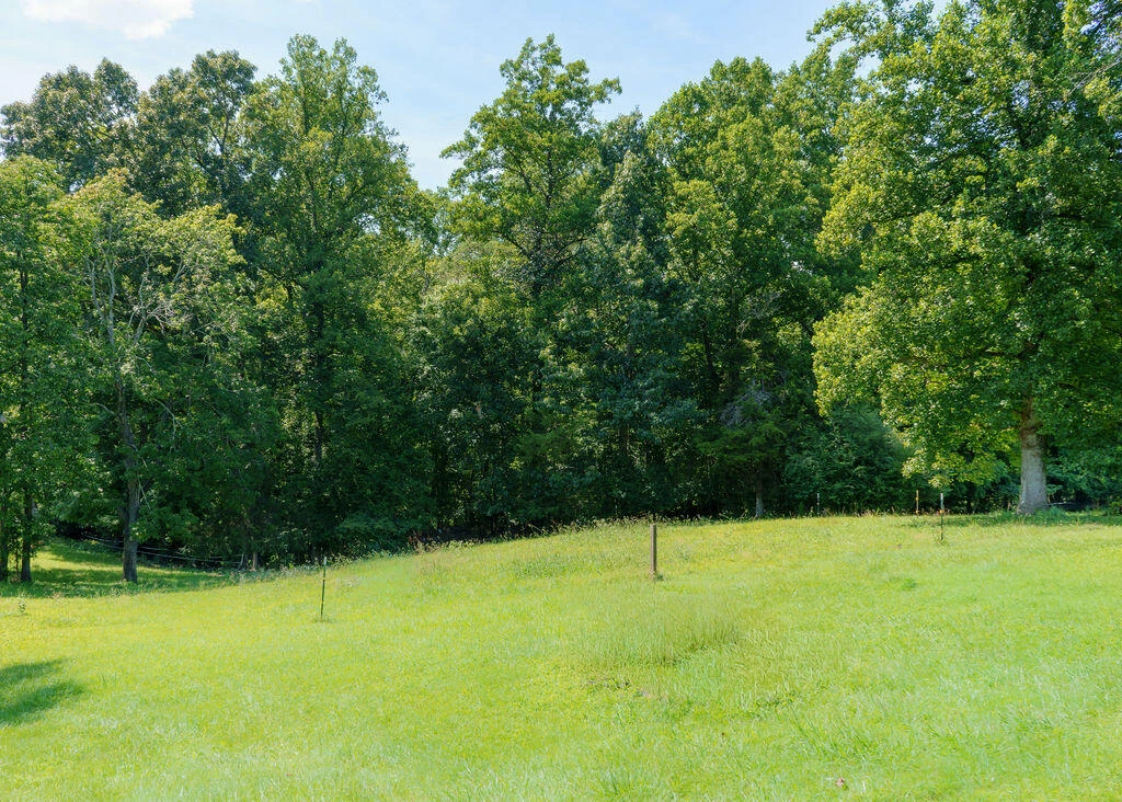 1481 Booker T Washington - Photo 6