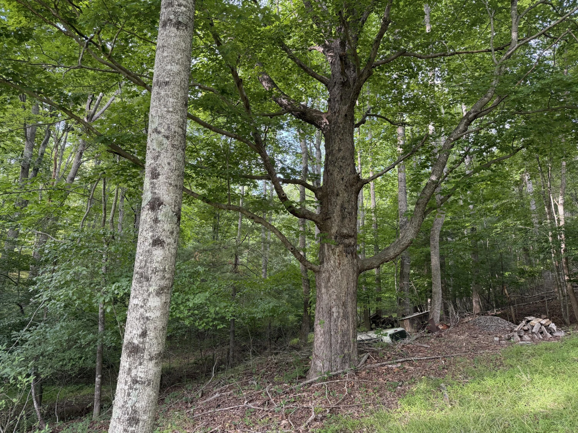 1501 Woods Gap RD SE - Photo 13