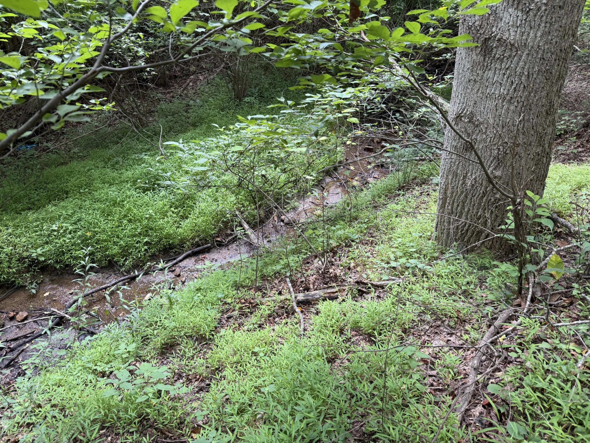1501 Woods Gap RD SE - Photo 14