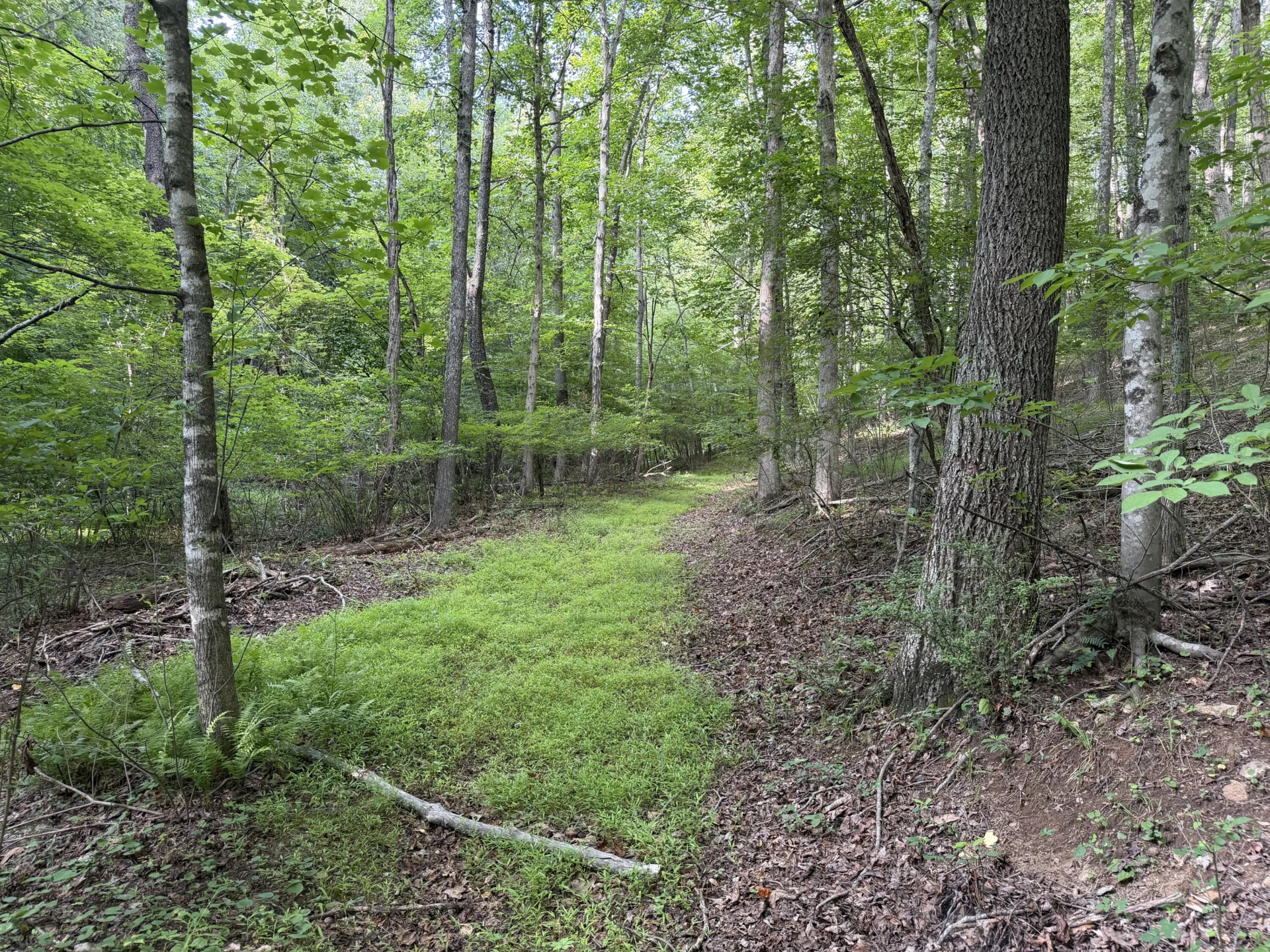 1501 Woods Gap RD SE - Photo 15
