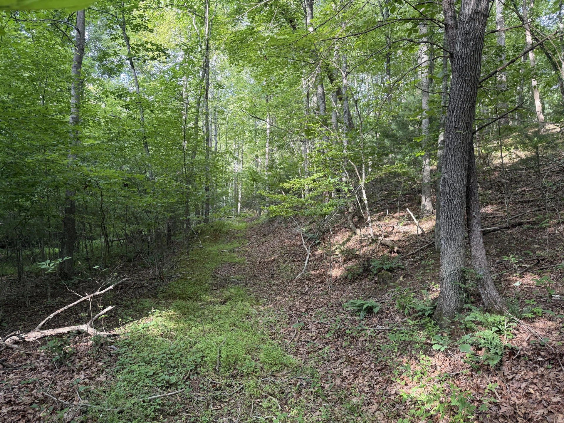 1501 Woods Gap RD SE - Photo 16