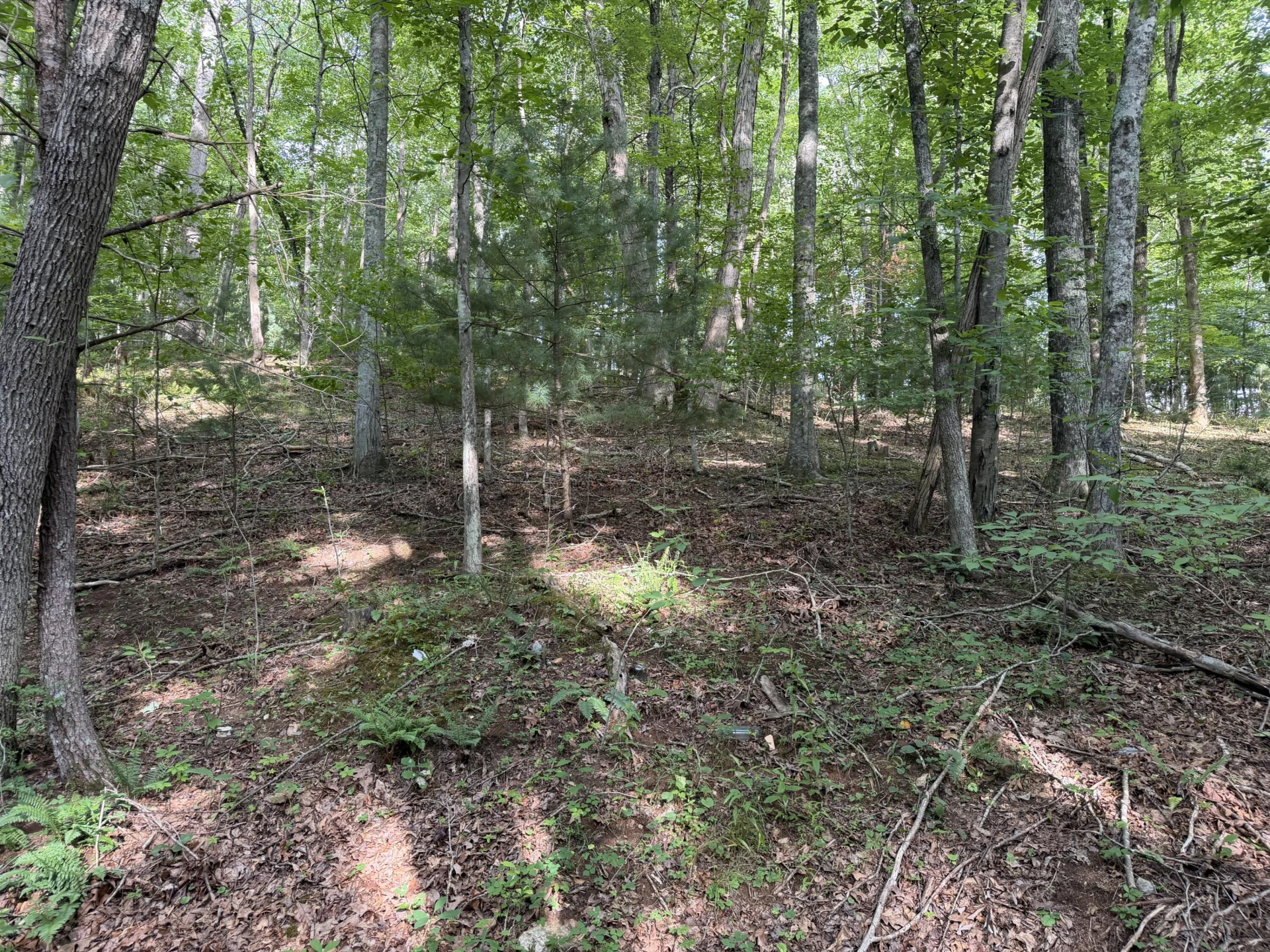 1501 Woods Gap RD SE - Photo 17