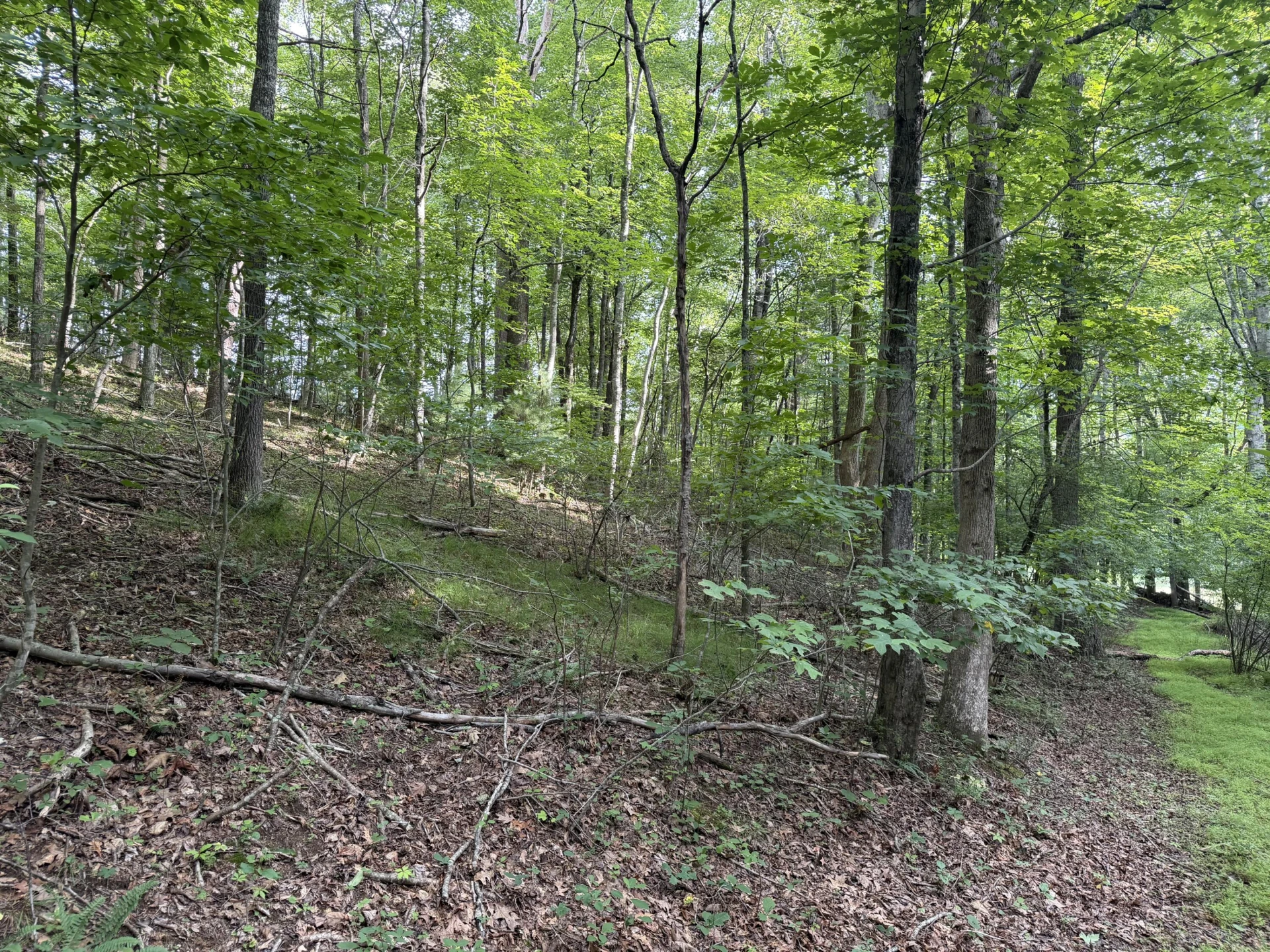 1501 Woods Gap RD SE - Photo 18