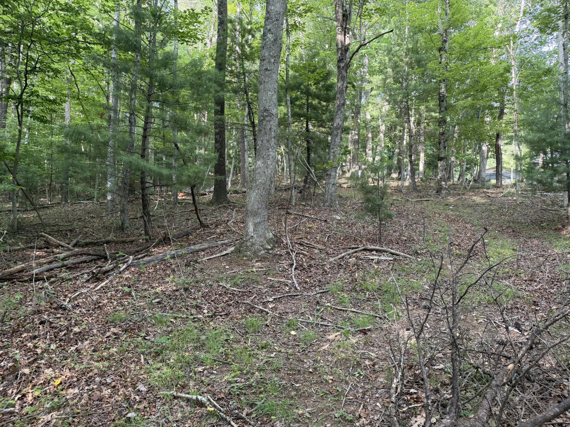 1501 Woods Gap RD SE - Photo 19