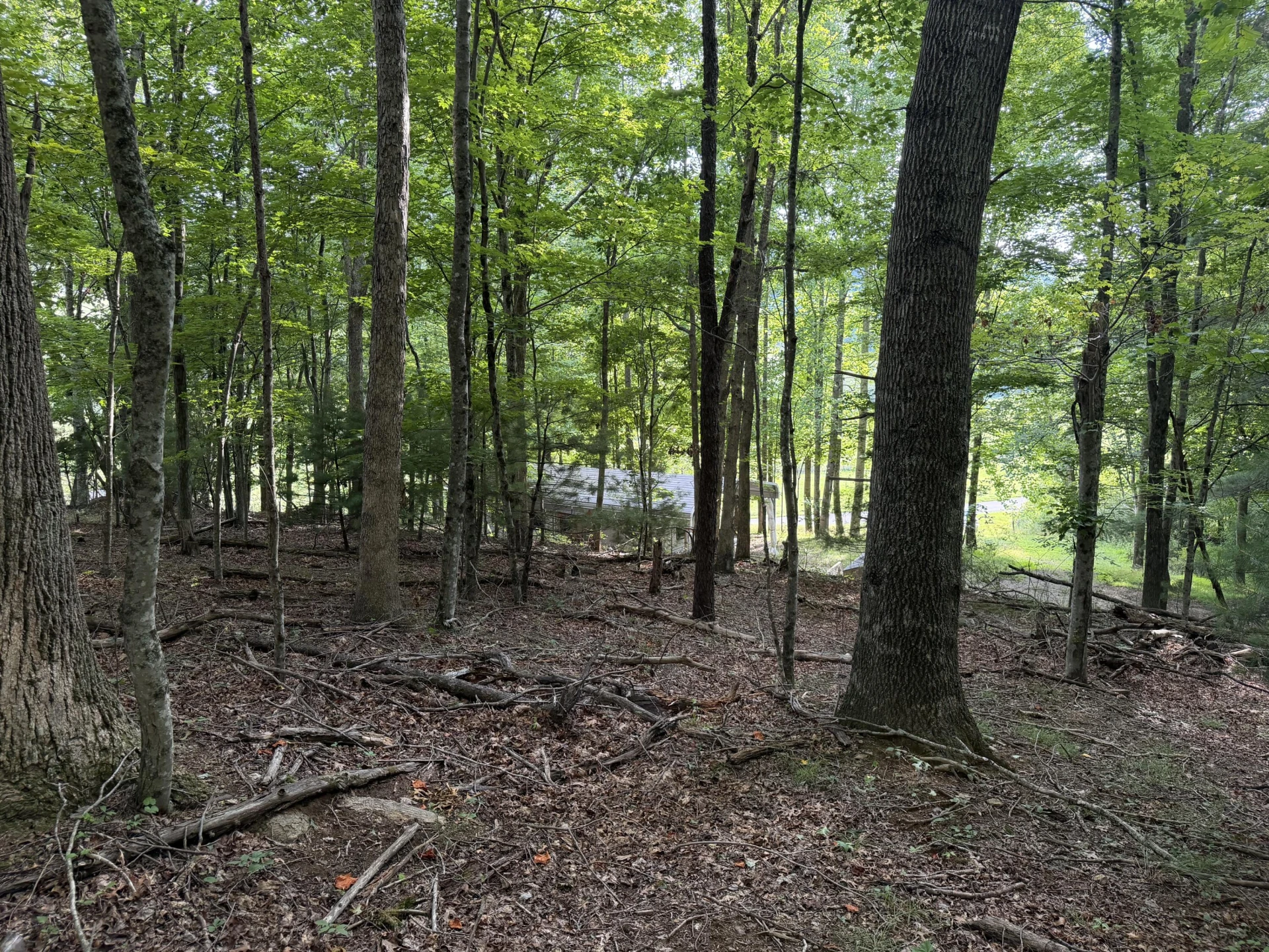 1501 Woods Gap RD SE - Photo 20